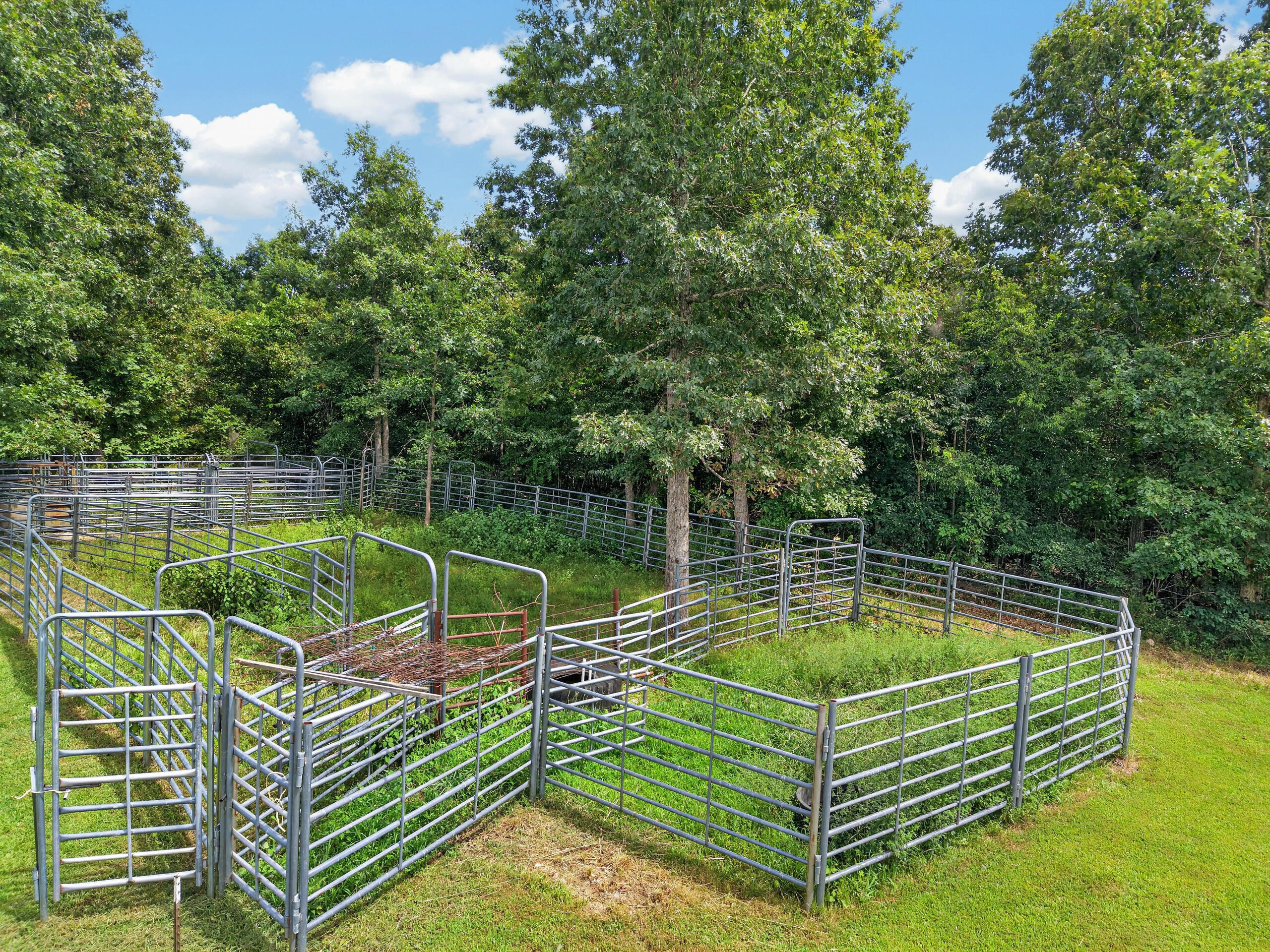 Photo 35 - Farm for sale – 4083  State Route W   West Plains, MO