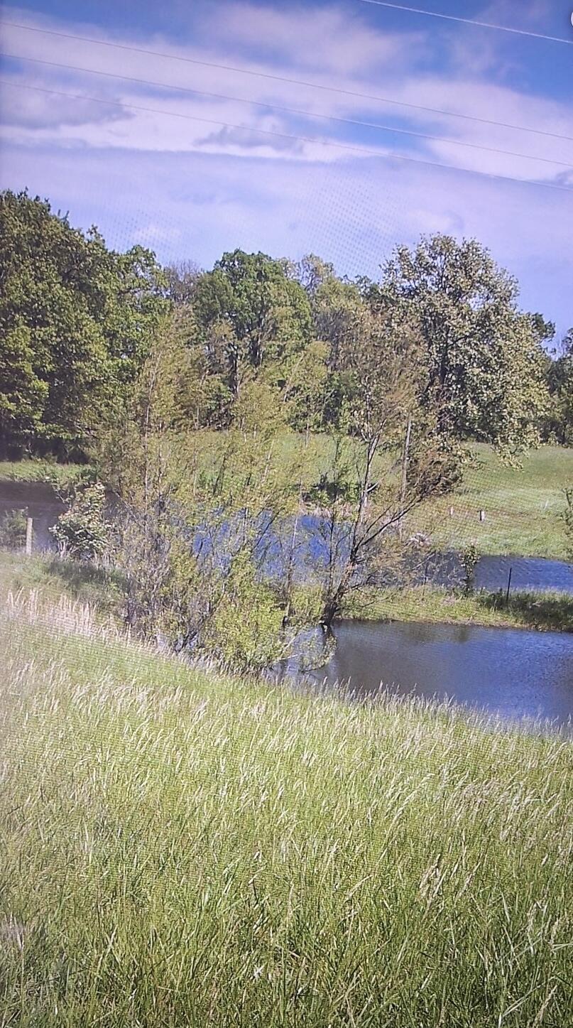 Photo 10 - Land for sale – 000 W Copper Creek Drive  Nixa, MO