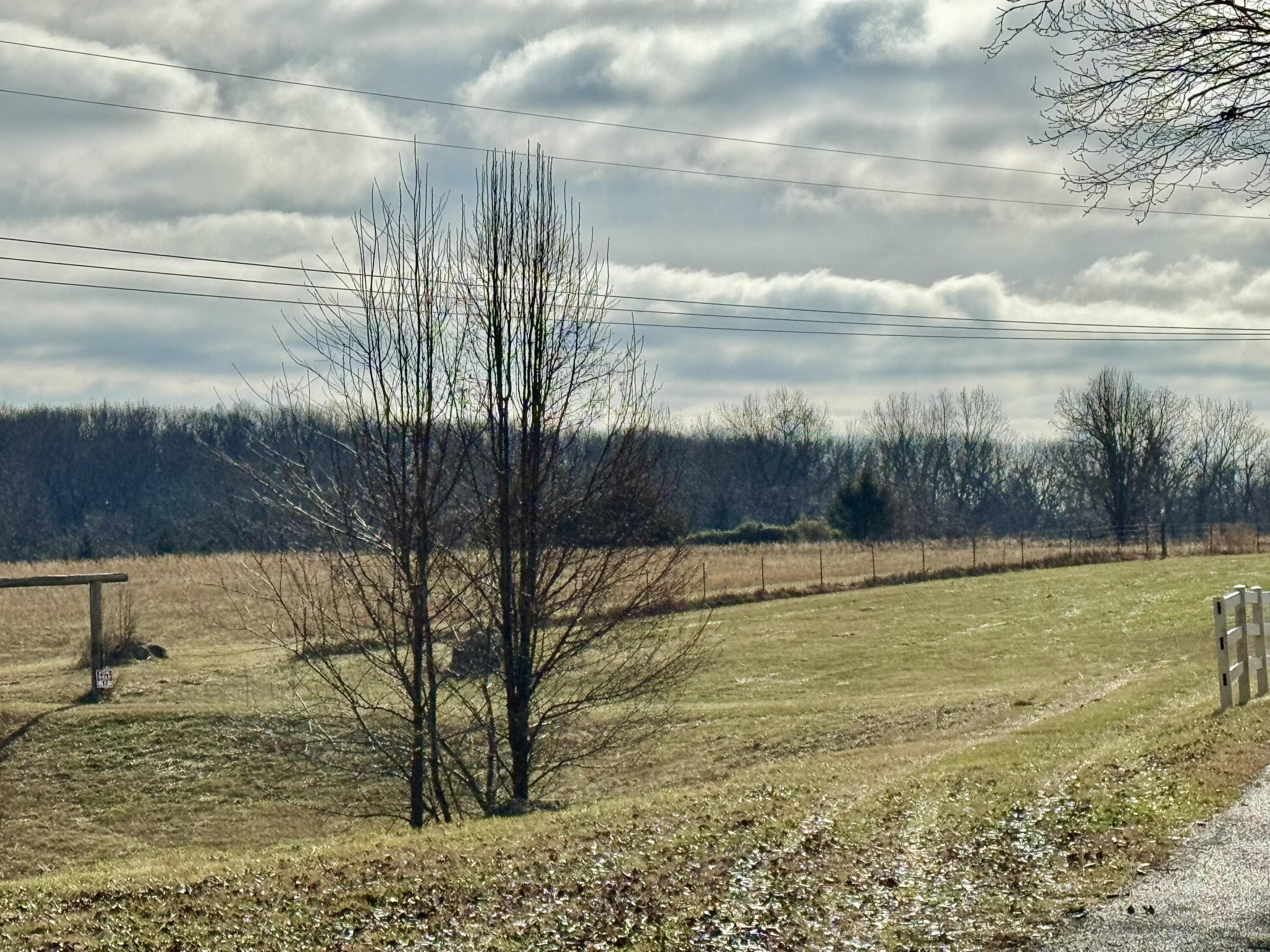 Photo 11 - Land for sale – 000 W Copper Creek Drive  Nixa, MO