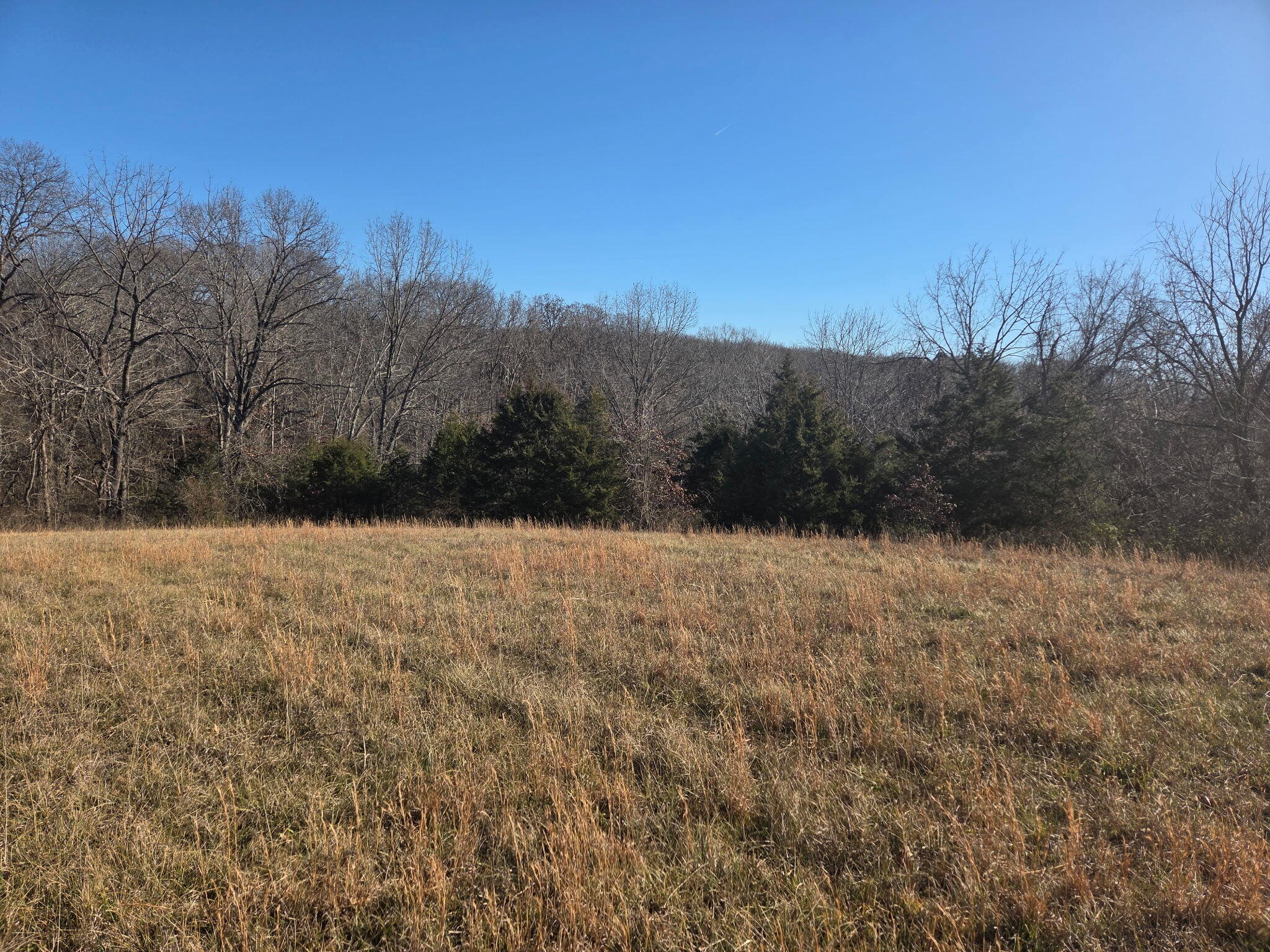 Photo 7 - Land for sale – 000 W Copper Creek Drive  Nixa, MO