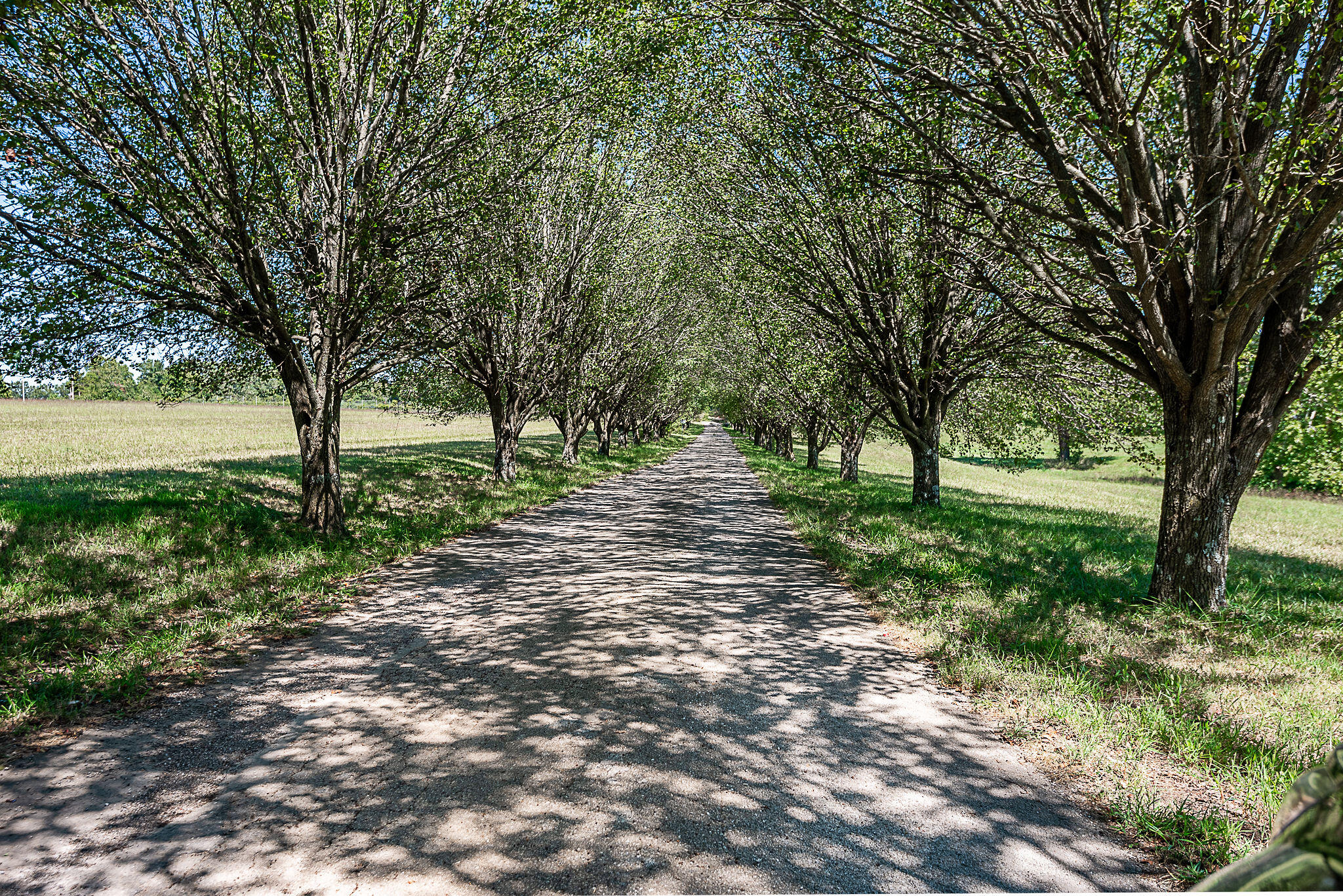 Photo 4 - Land for sale – 000 W Copper Creek Drive  Nixa, MO