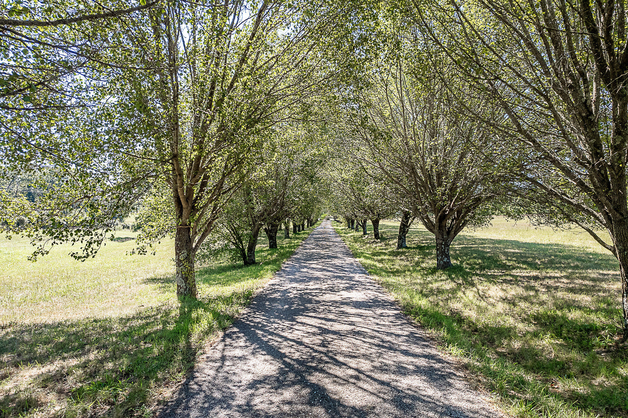 Photo 5 - Land for sale – 000 W Copper Creek Drive  Nixa, MO