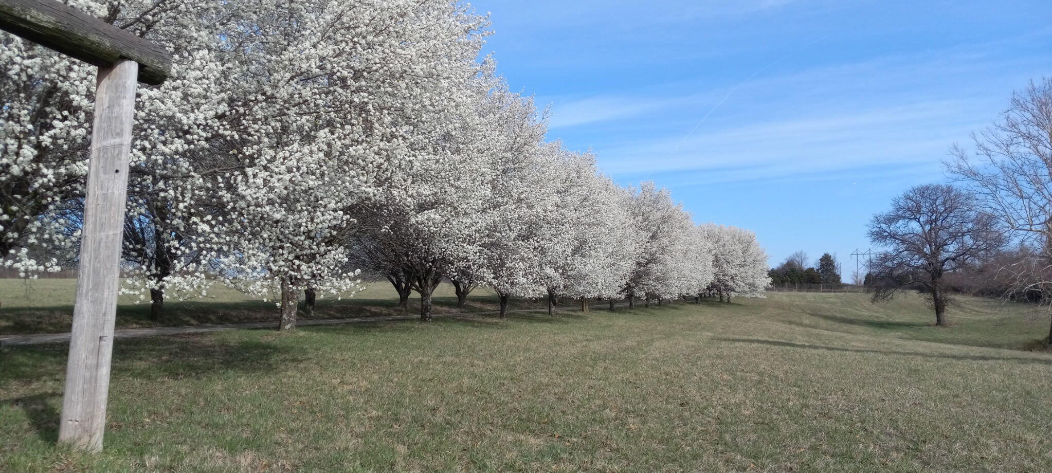 Photo 3 - Land for sale – 000 W Copper Creek Drive  Nixa, MO
