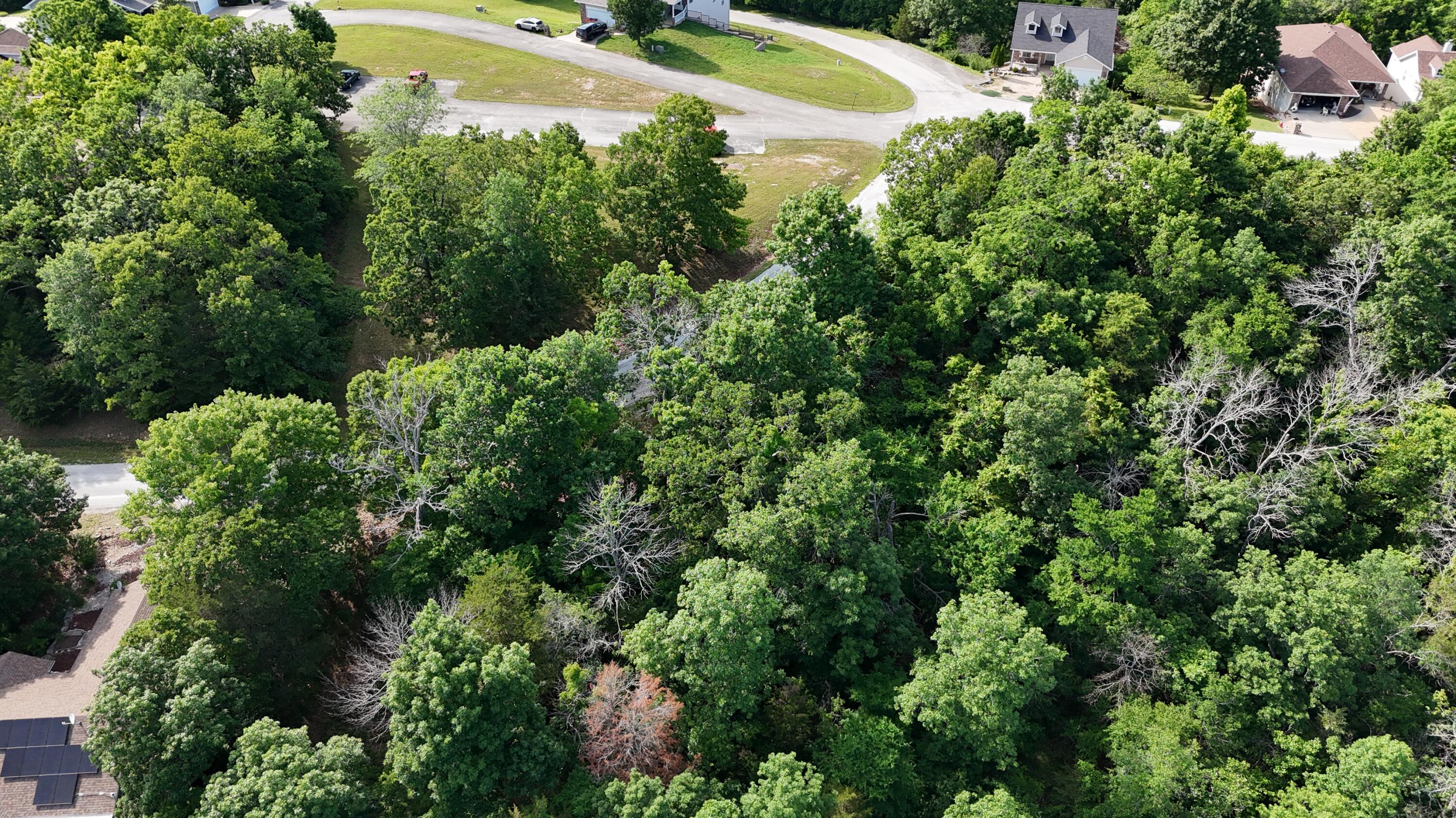Photo 7 - Land for sale – 000  Howard Drive  Cape Fair, MO
