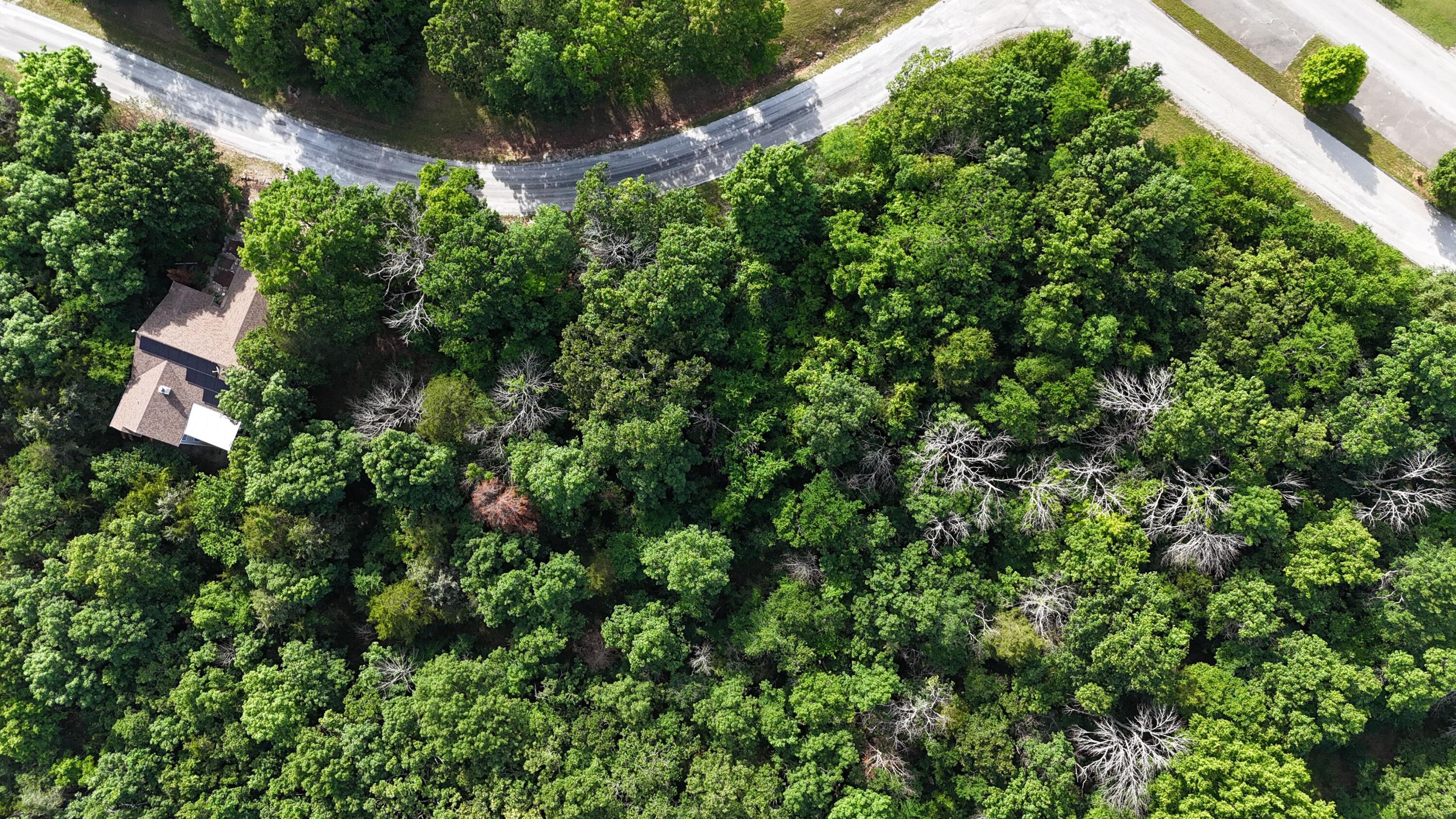 Photo 21 - Land for sale – 000  Howard Drive  Cape Fair, MO