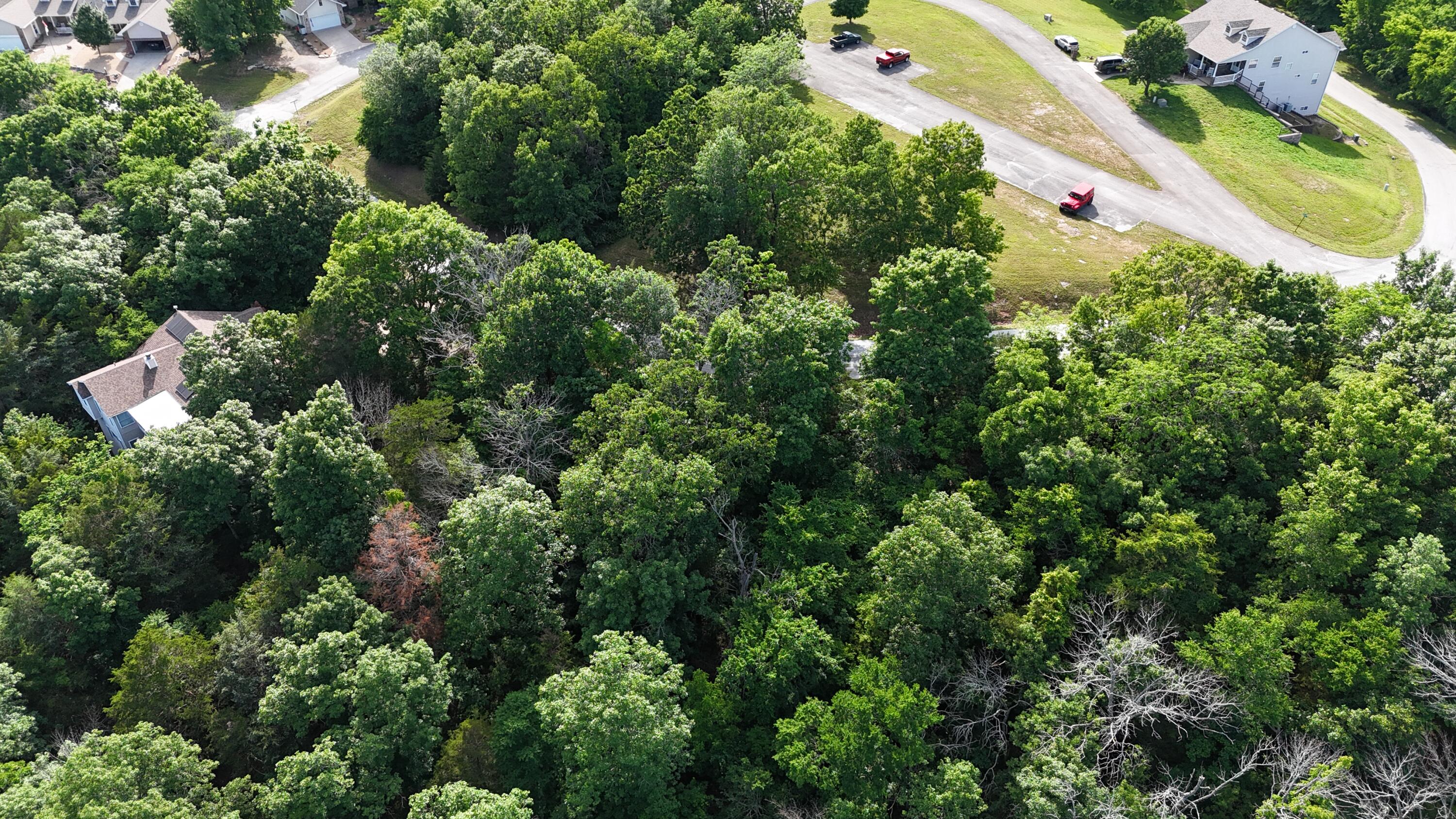 Photo 6 - Land for sale – 000  Howard Drive  Cape Fair, MO