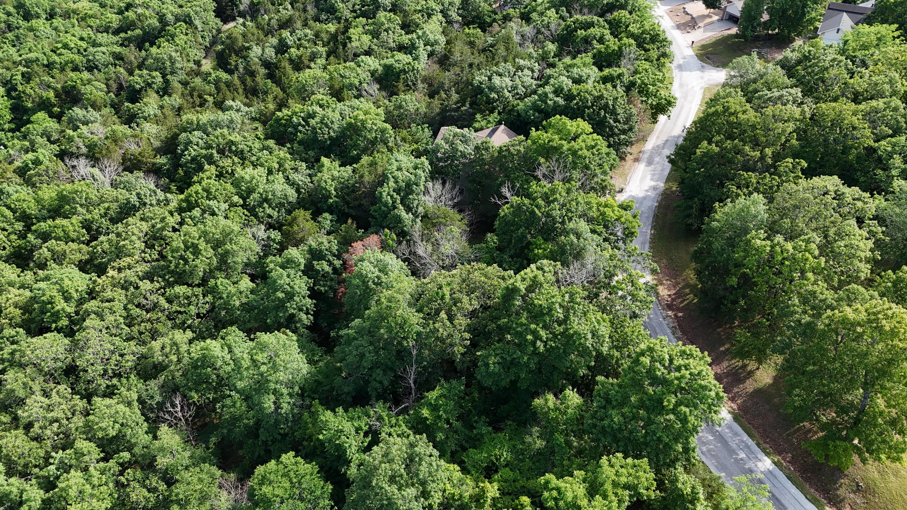 Photo 5 - Land for sale – 000  Howard Drive  Cape Fair, MO