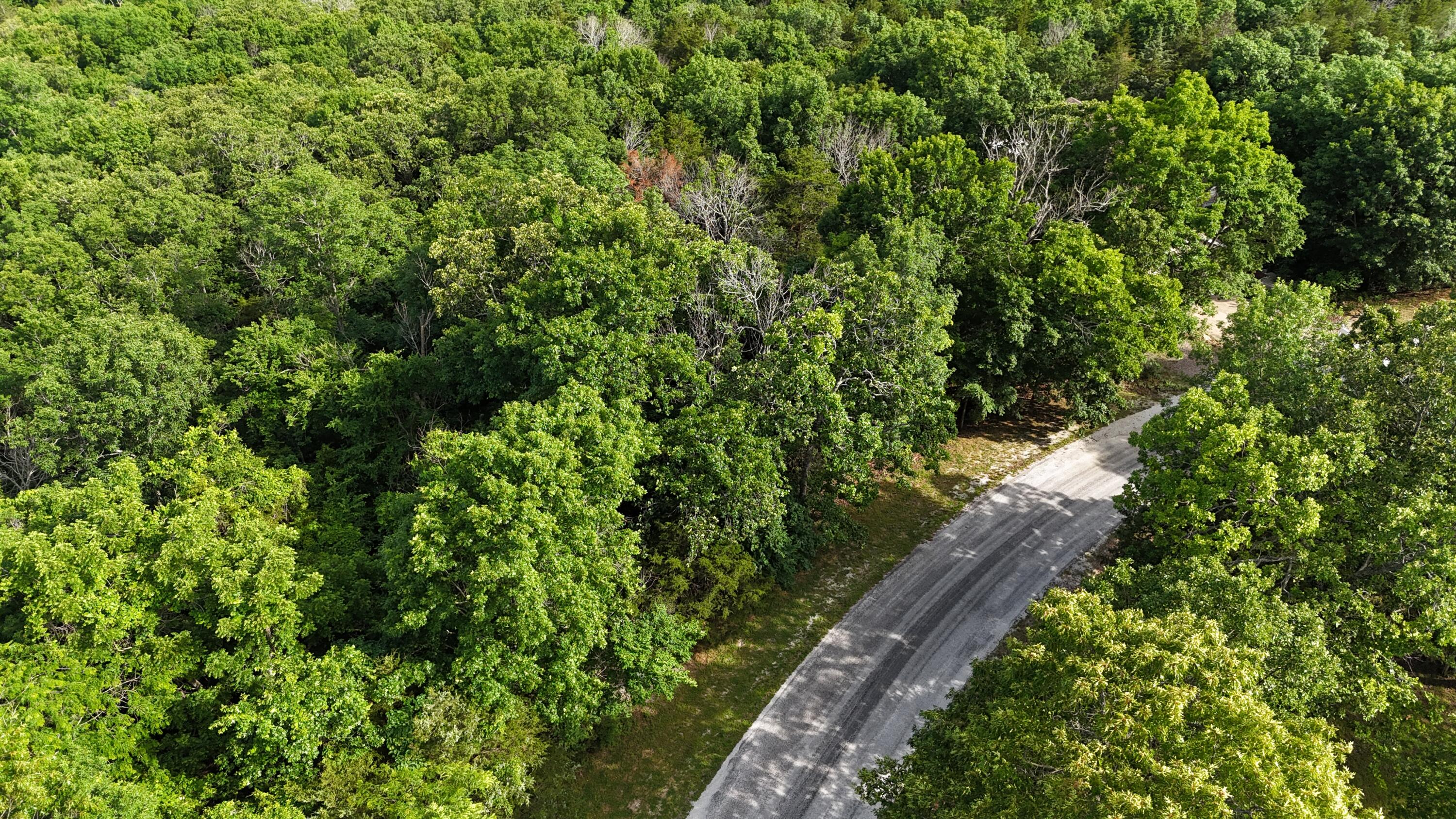 Photo 3 - Land for sale – 000  Howard Drive  Cape Fair, MO