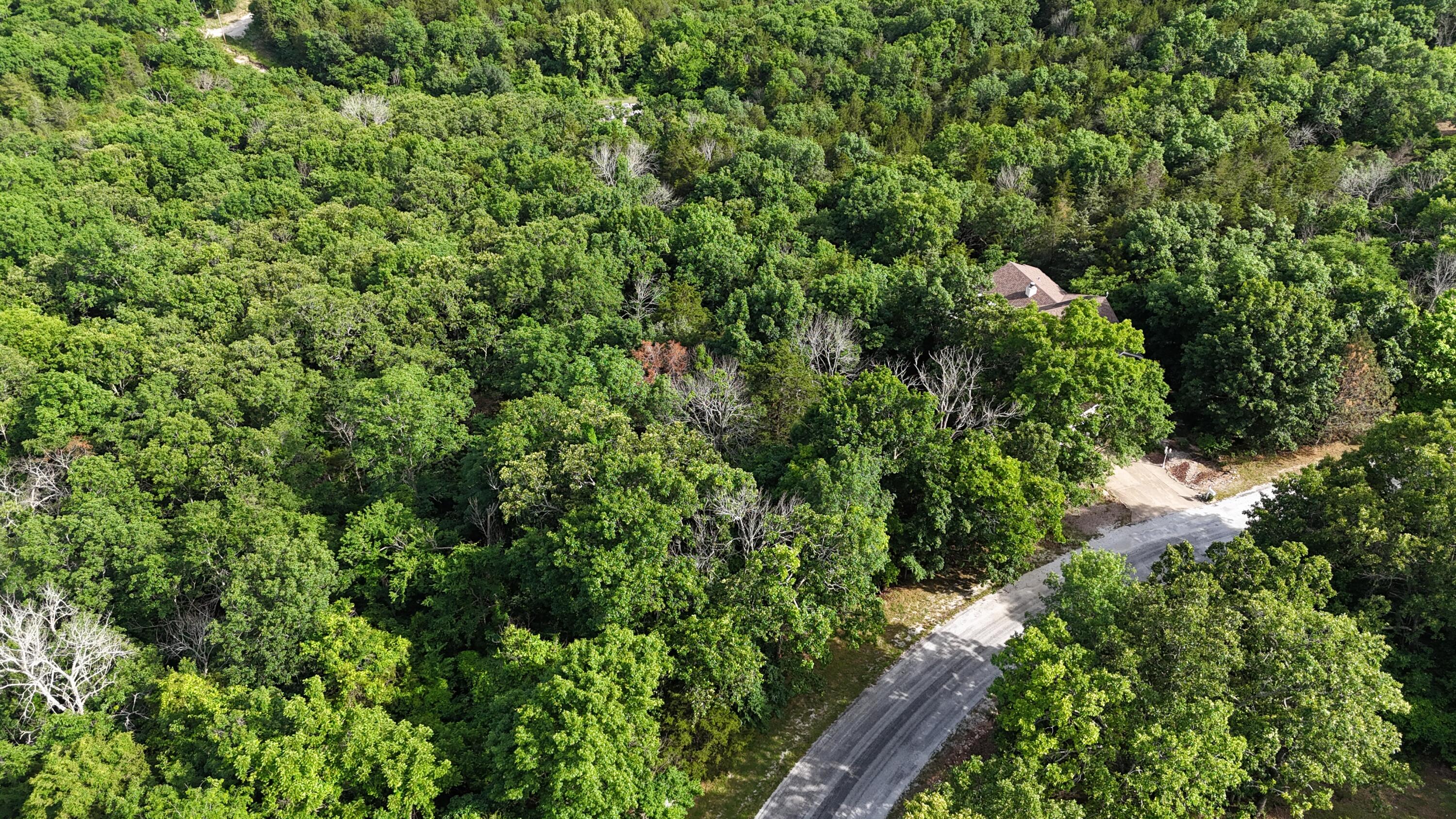 Photo 4 - Land for sale – 000  Howard Drive  Cape Fair, MO