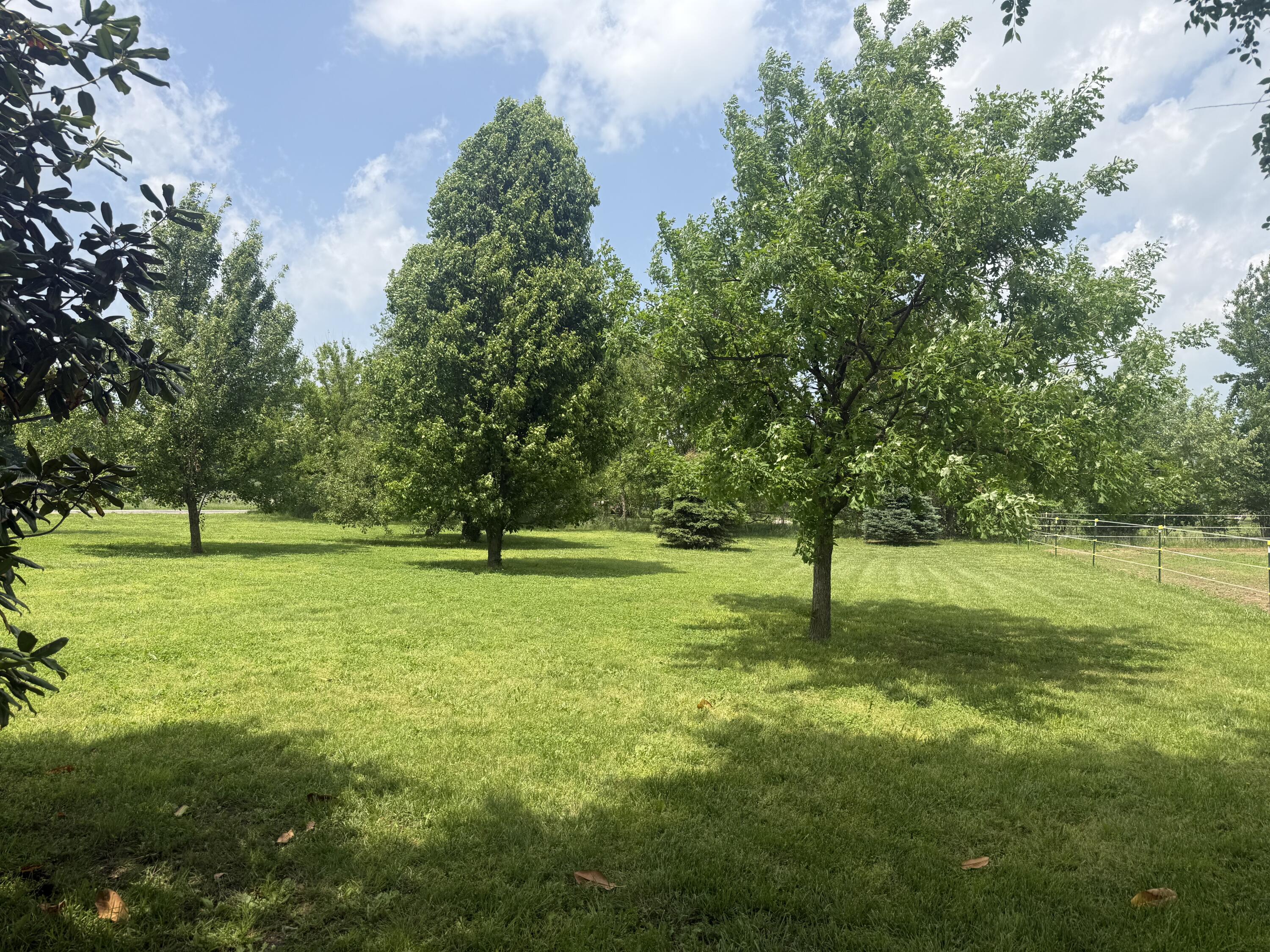 Photo 20 - Residential for sale – 602 E Sanders Street  Miller, MO