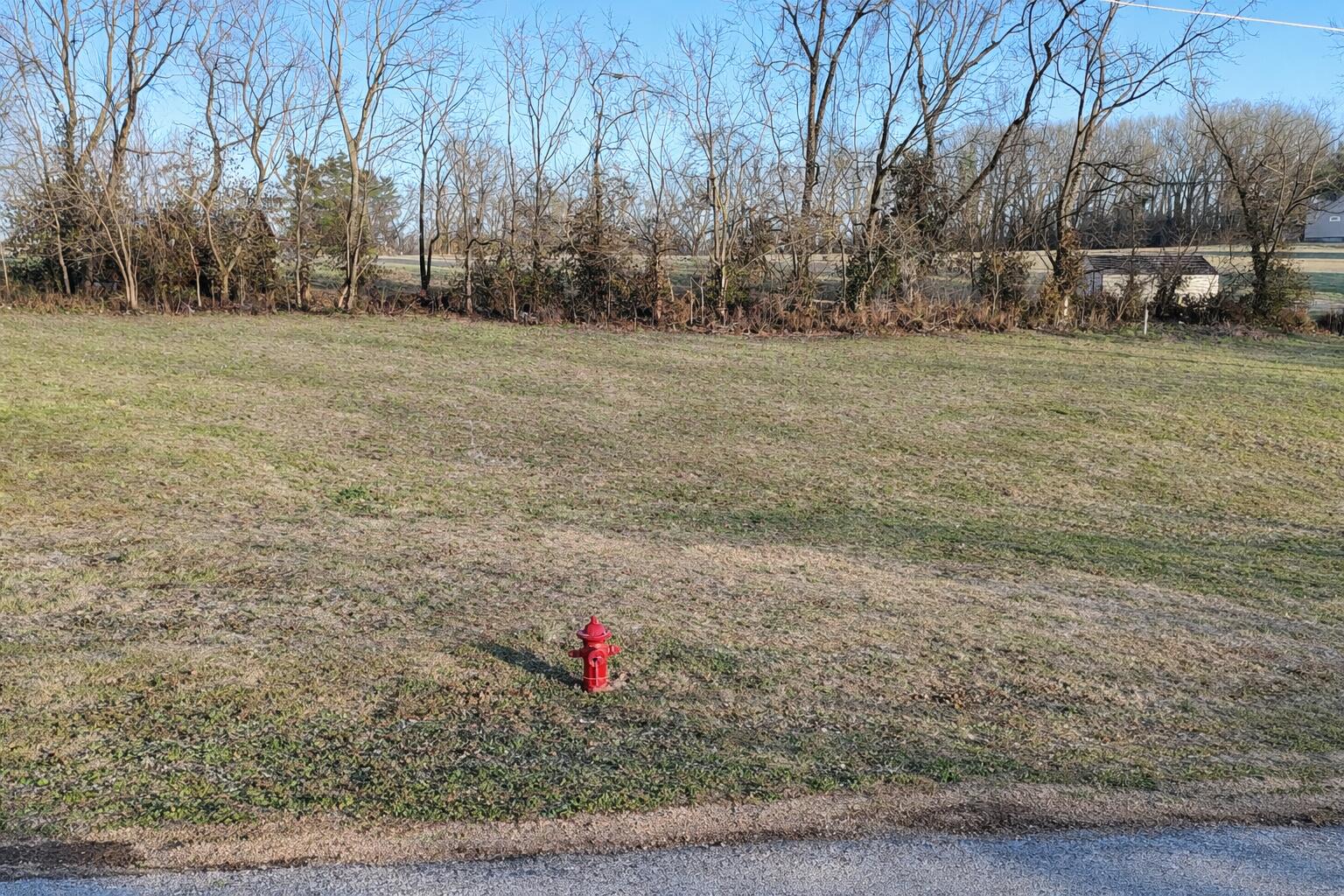 Photo 9 - Land for sale – Tbd  Holman Road  Cassville, MO