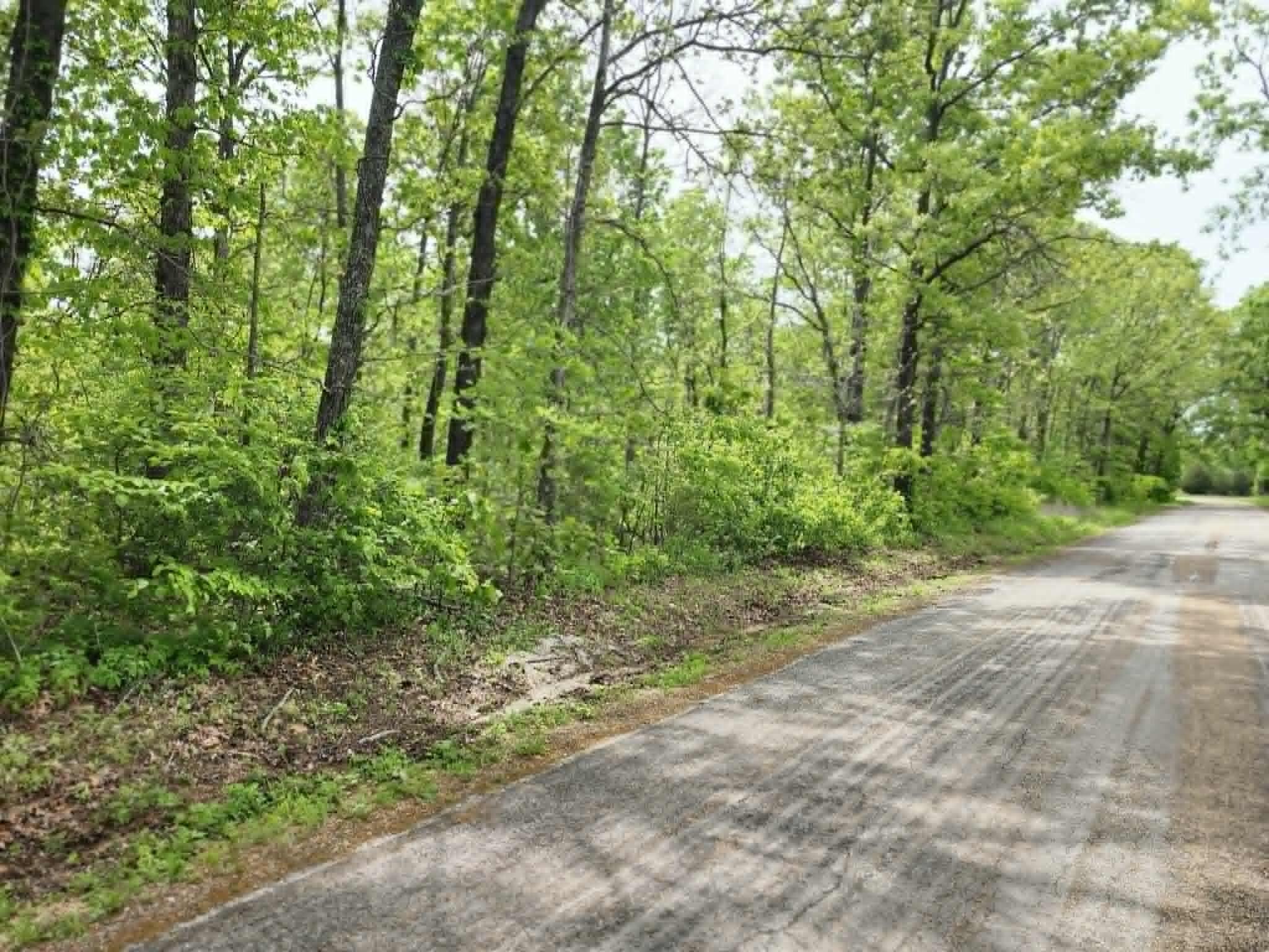 Photo 2 - Land for sale – 00  Thomas Road  Norwood, MO