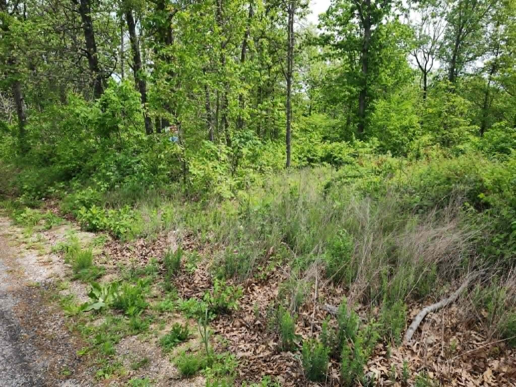 Photo 8 - Land for sale – 00  Thomas Road  Norwood, MO