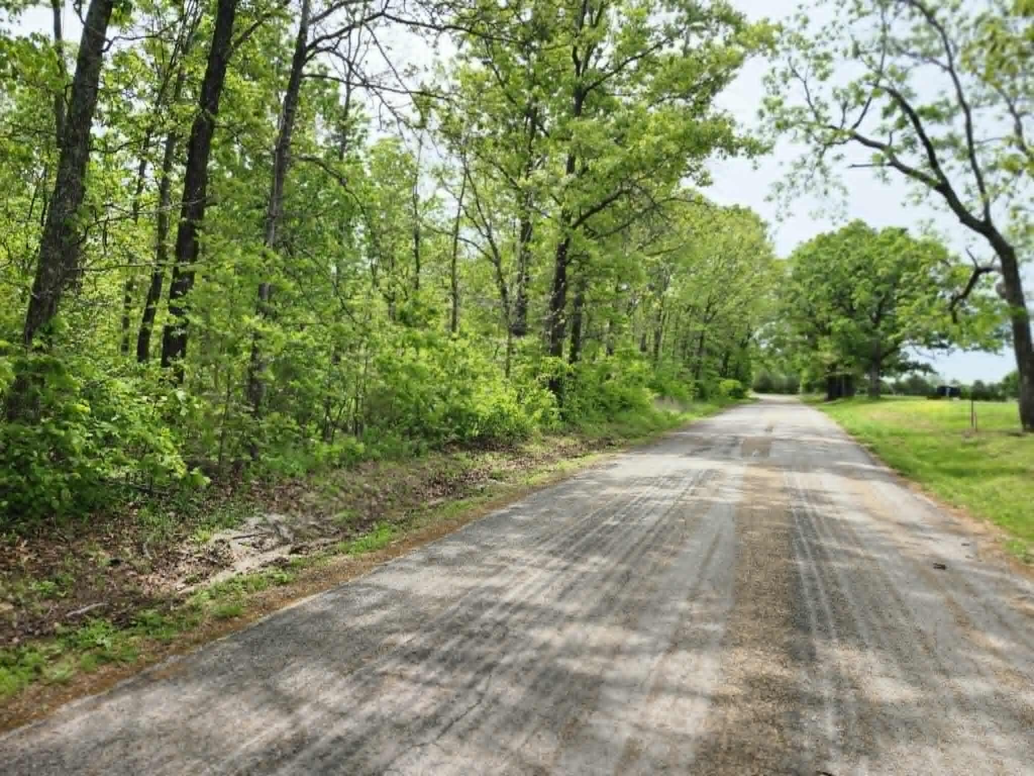 Photo 7 - Land for sale – 00  Thomas Road  Norwood, MO