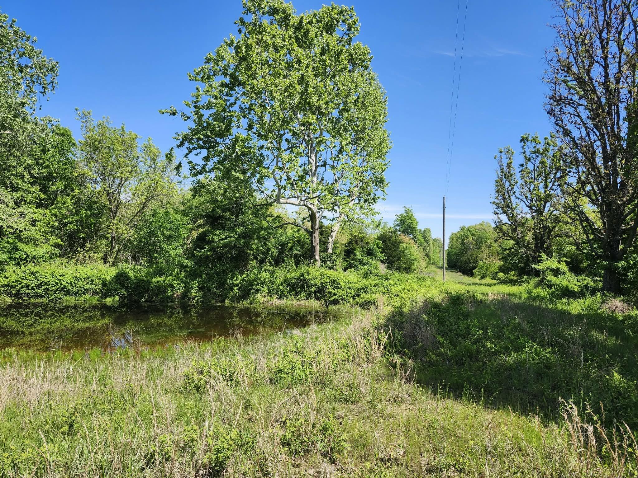 Photo 25 - Land for sale – Tbd  High Drive  Hartville, MO