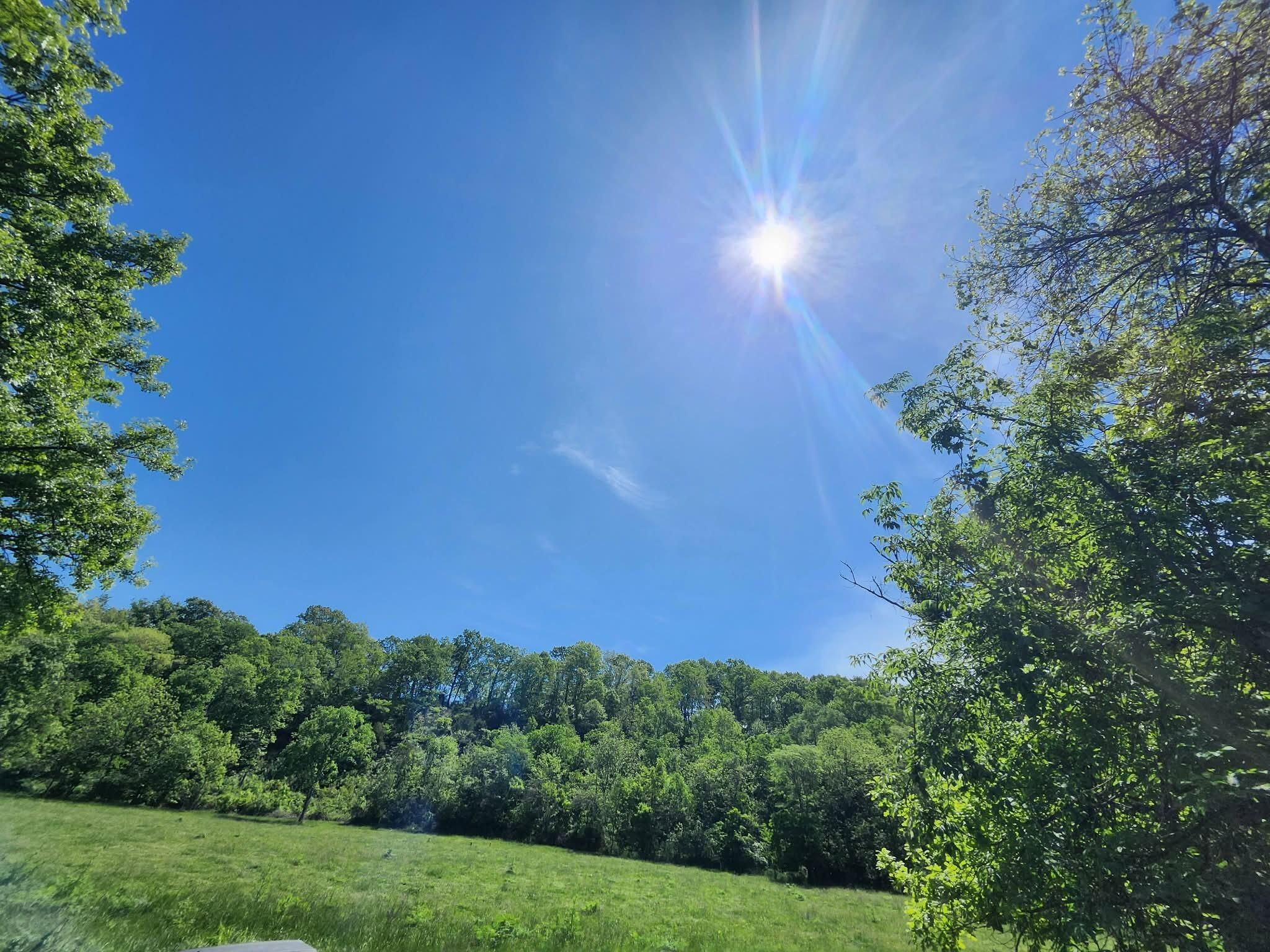 Photo 4 - Land for sale – Tbd  High Drive  Hartville, MO