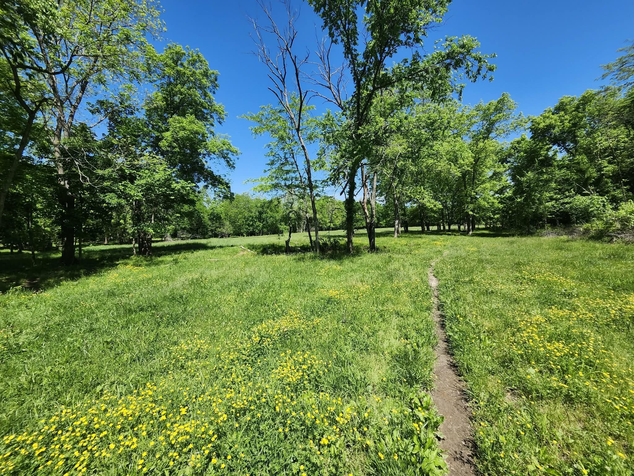 Photo 10 - Land for sale – Tbd  High Drive  Hartville, MO