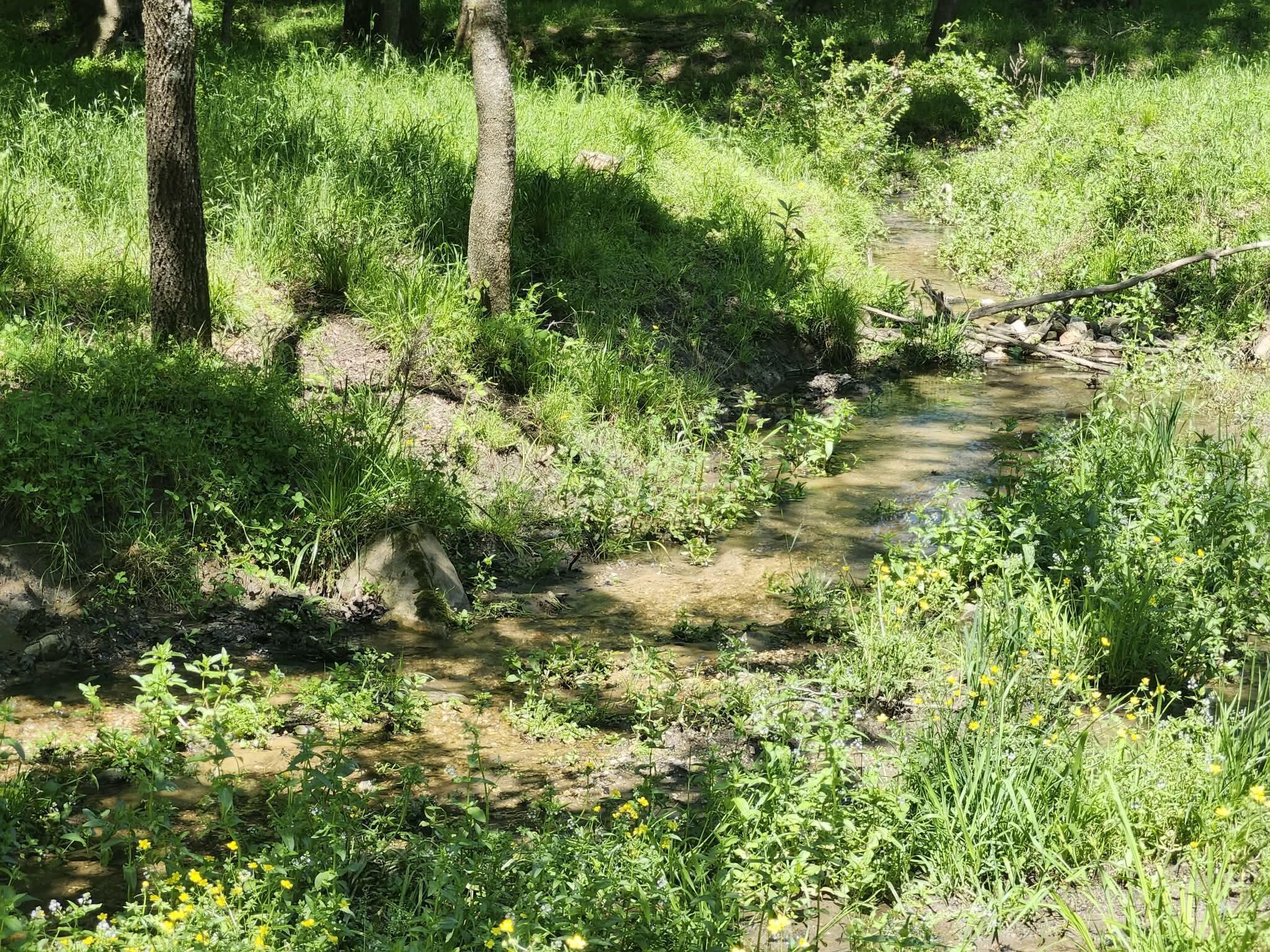 Photo 17 - Land for sale – Tbd  High Drive  Hartville, MO