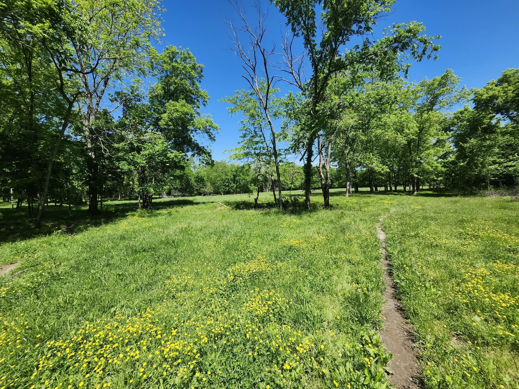 Photo 11 - Land for sale – Tbd  High Drive  Hartville, MO