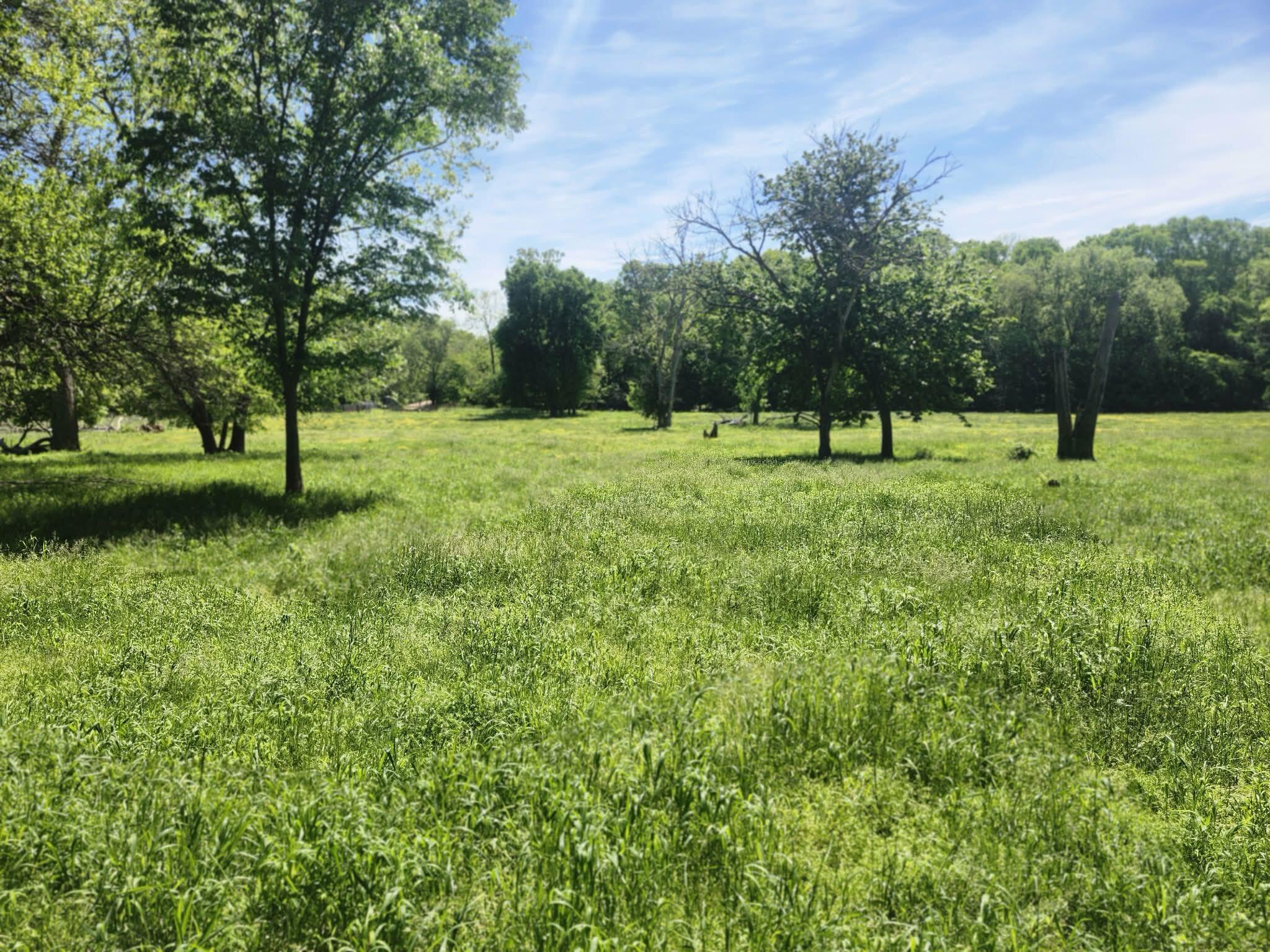 Photo 21 - Land for sale – Tbd  High Drive  Hartville, MO