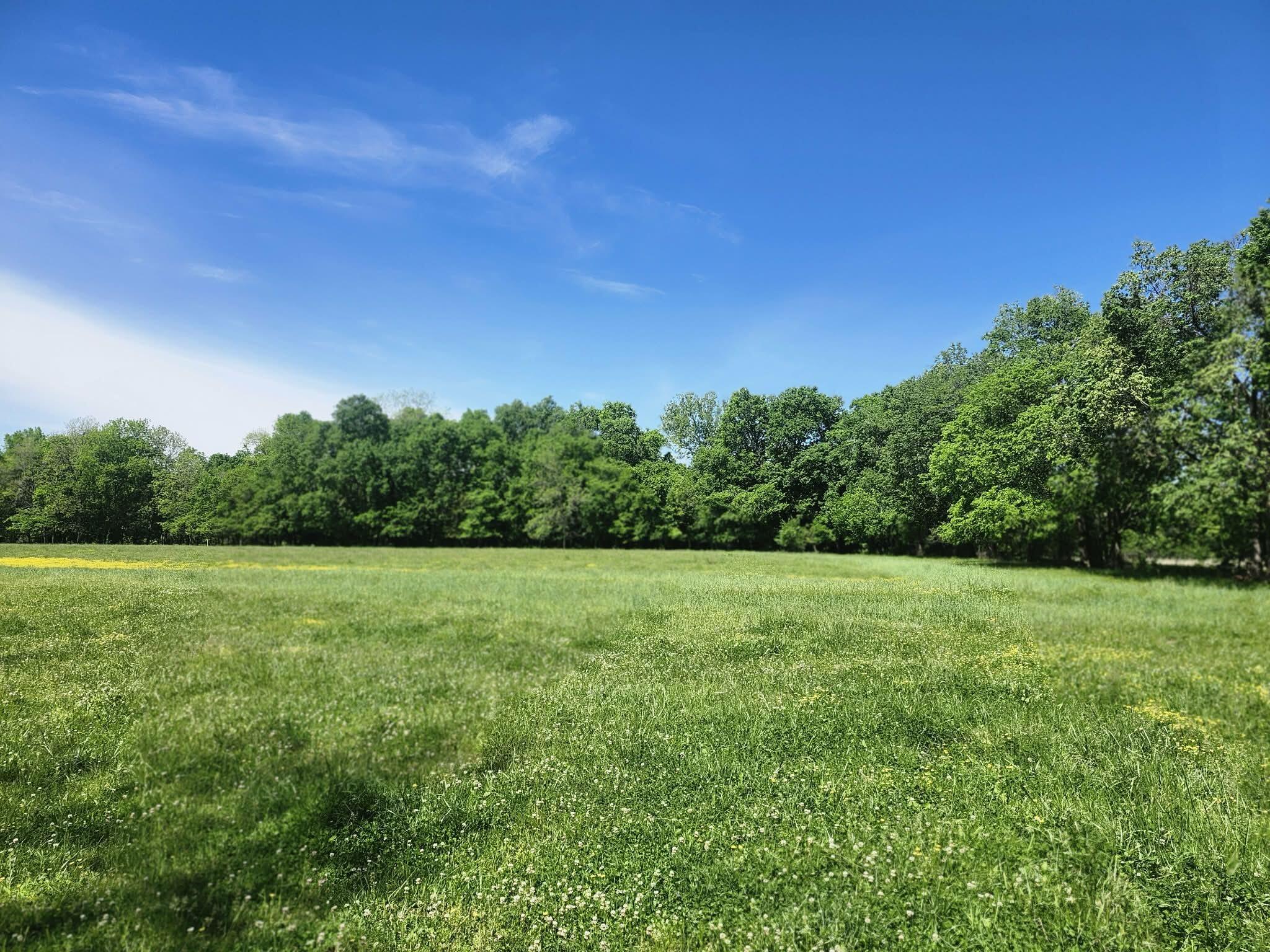 Photo 19 - Land for sale – Tbd  High Drive  Hartville, MO
