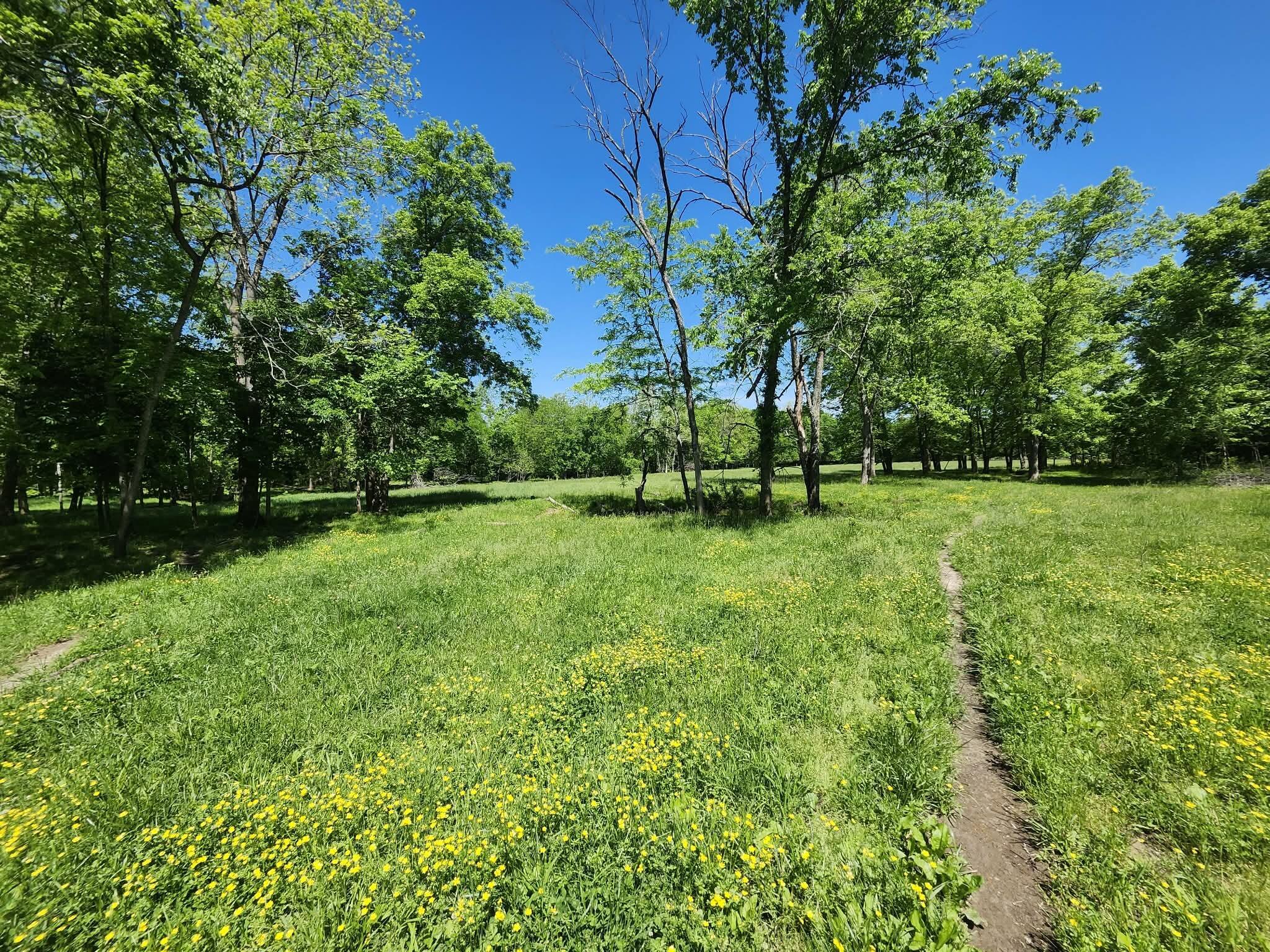 Photo 12 - Land for sale – Tbd  High Drive  Hartville, MO