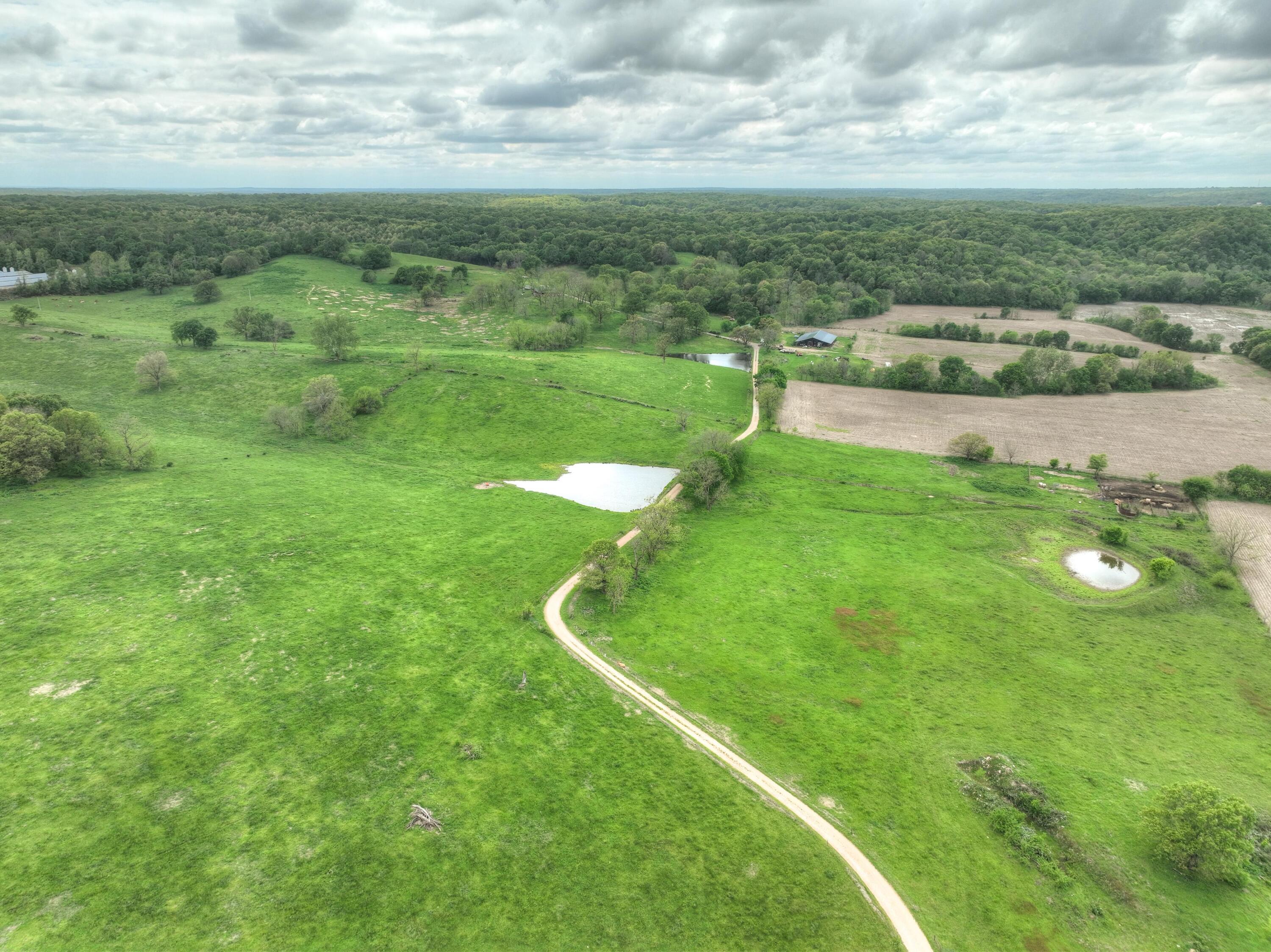 Photo 49 - Farm for sale – 4145  Route Cc   Anderson, MO