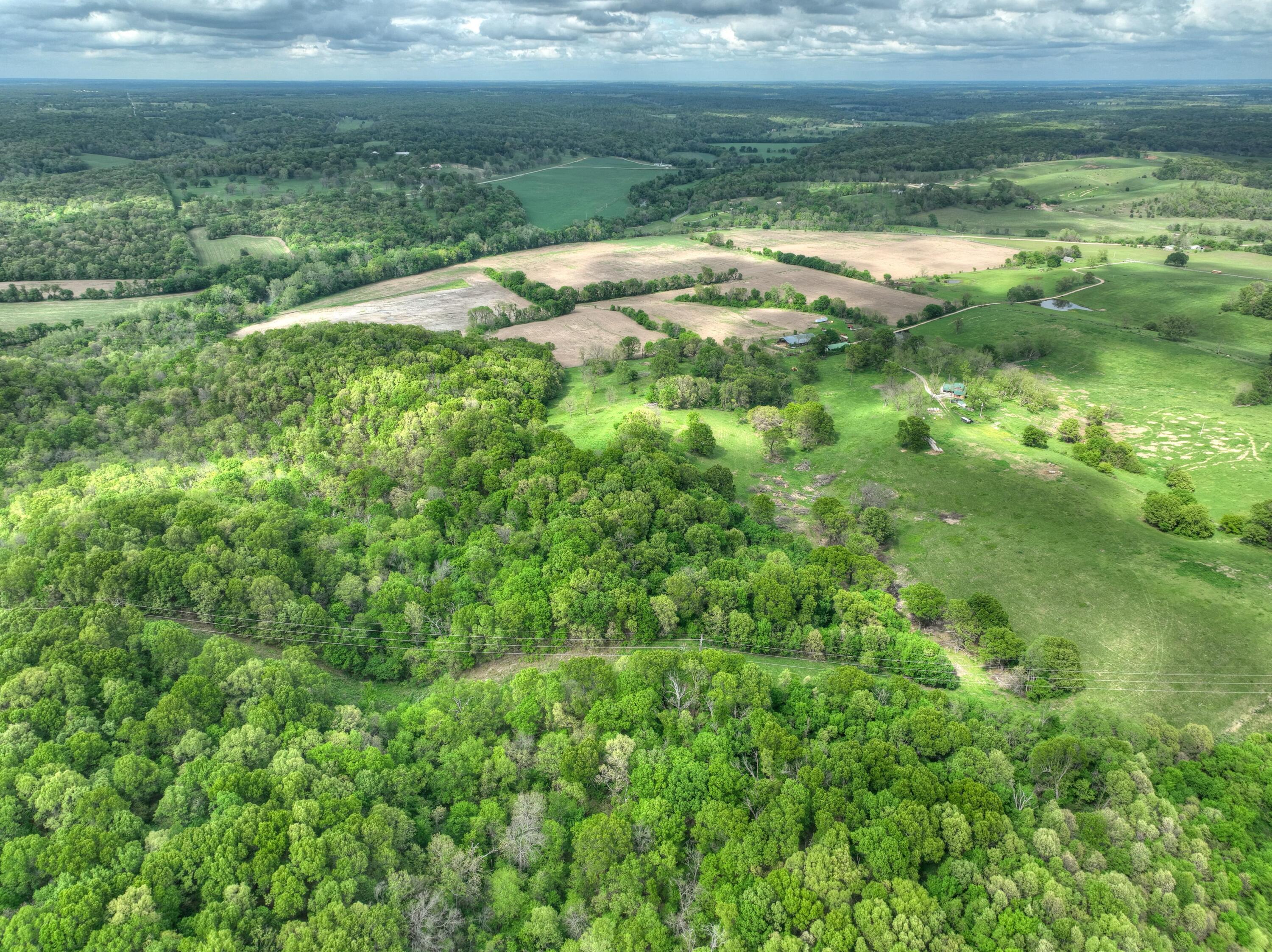 Photo 60 - Farm for sale – 4145  Route Cc   Anderson, MO