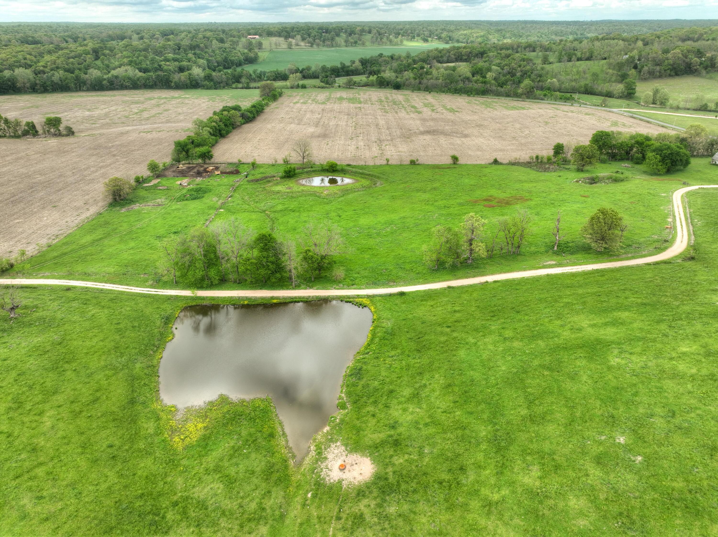 Photo 53 - Farm for sale – 4145  Route Cc   Anderson, MO