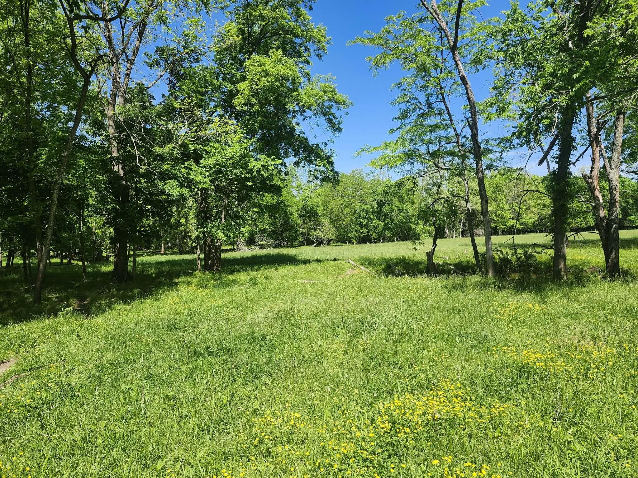 Photo 11 - Farm for sale – Tbd  High Drive  Hartville, MO