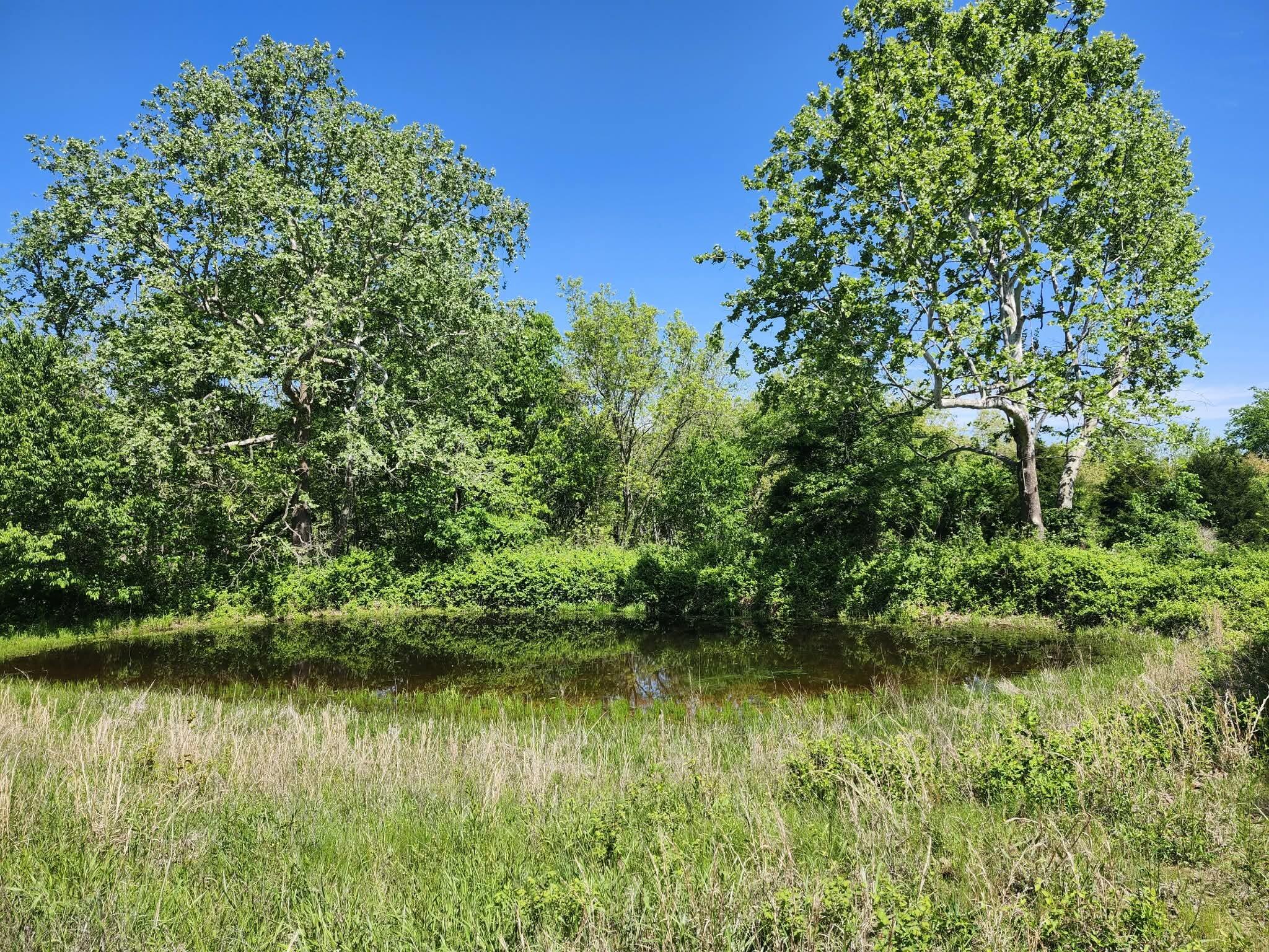 Photo 26 - Farm for sale – Tbd  High Drive  Hartville, MO