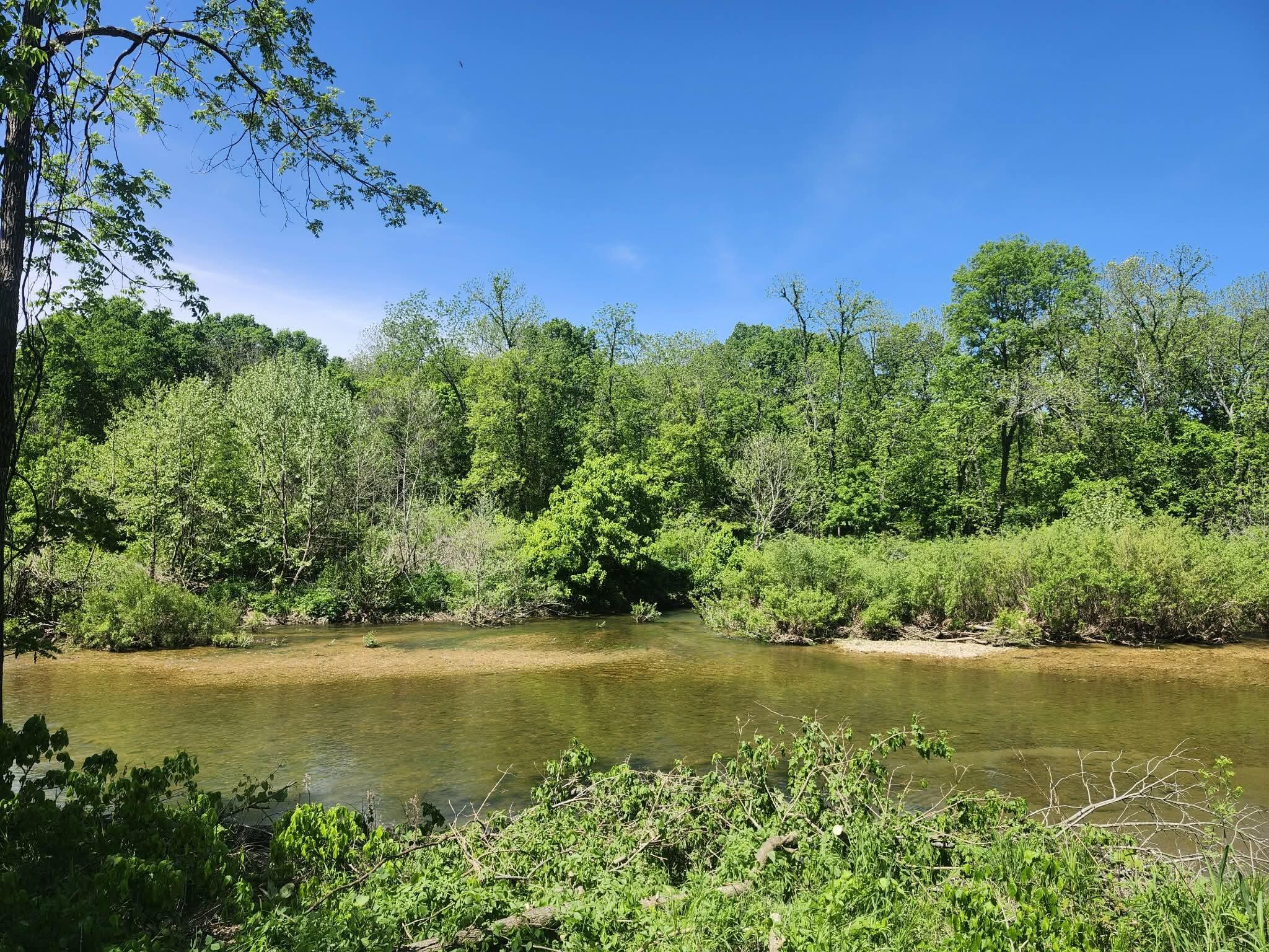 Photo 10 - Farm for sale – Tbd  High Drive  Hartville, MO