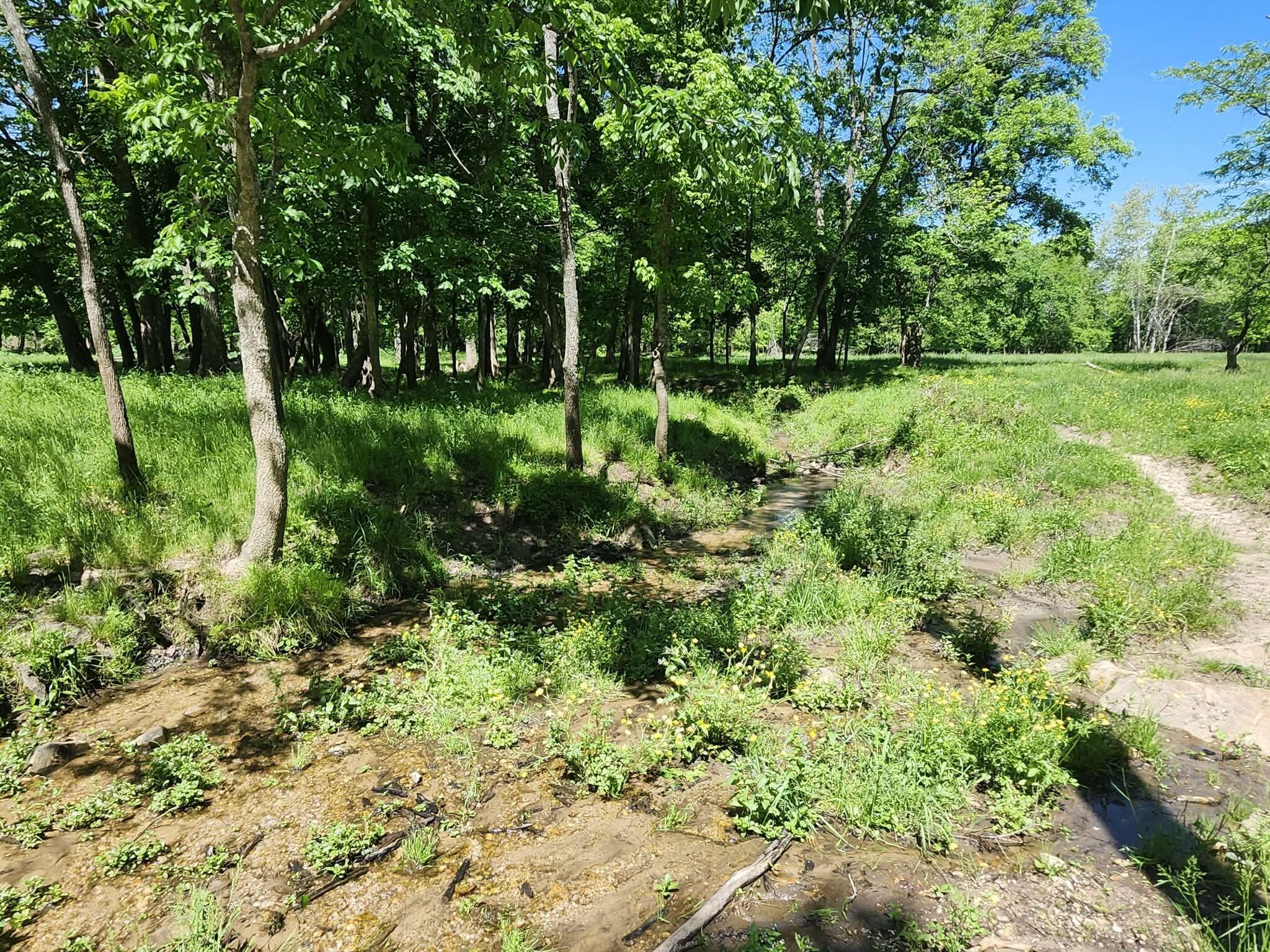 Photo 16 - Farm for sale – Tbd  High Drive  Hartville, MO