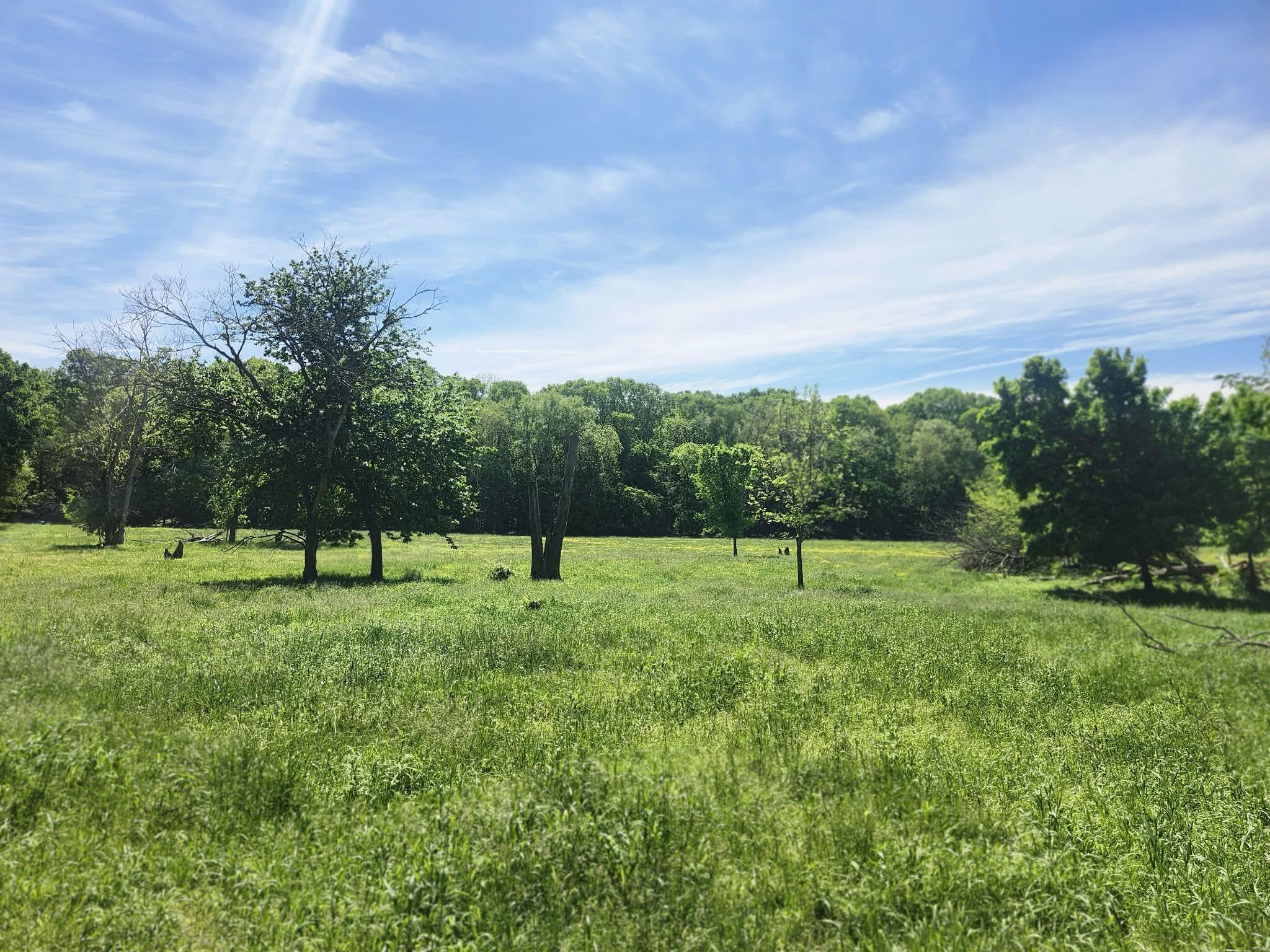 Photo 25 - Farm for sale – Tbd  High Drive  Hartville, MO