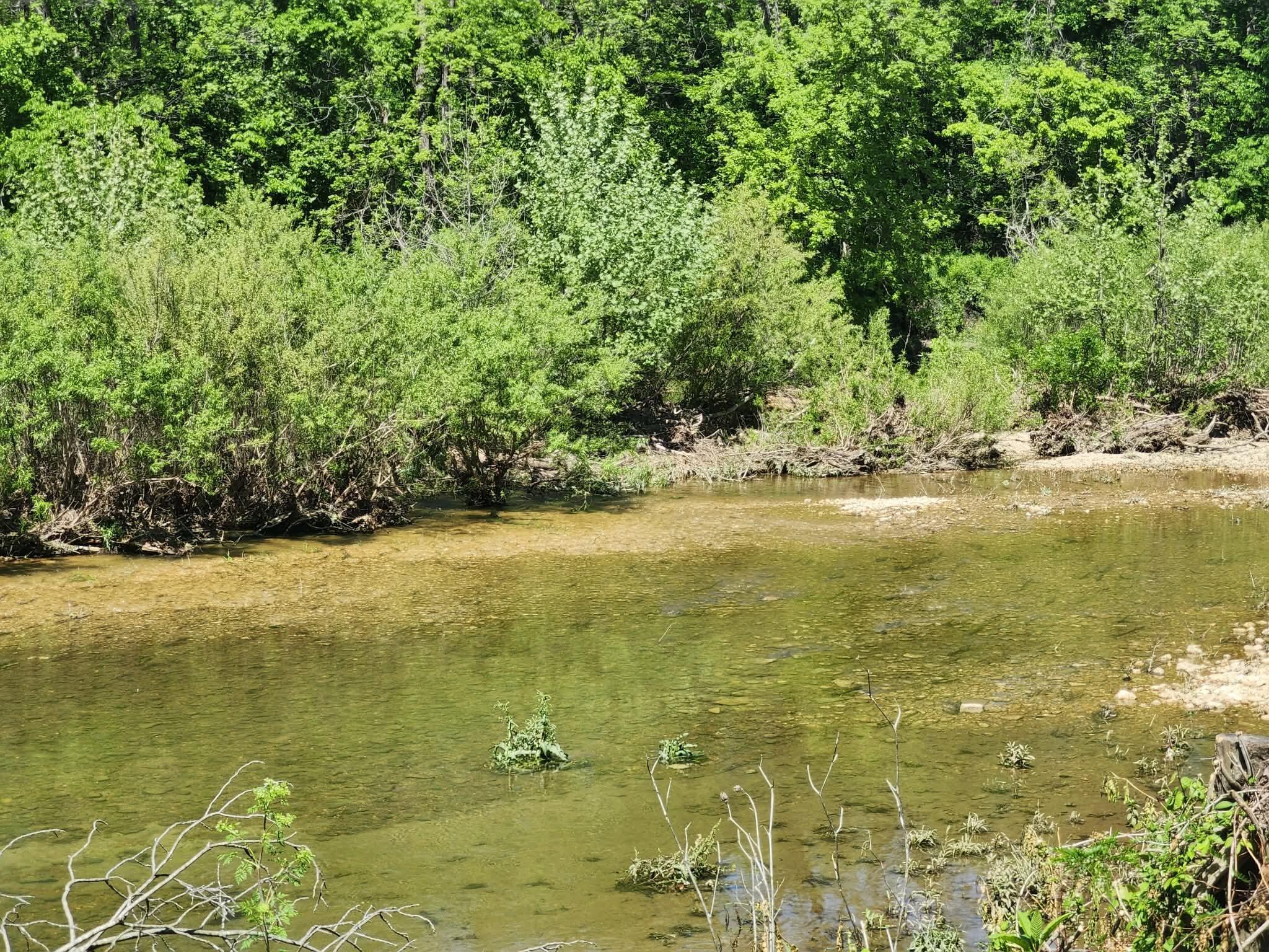 Photo 12 - Farm for sale – Tbd  High Drive  Hartville, MO