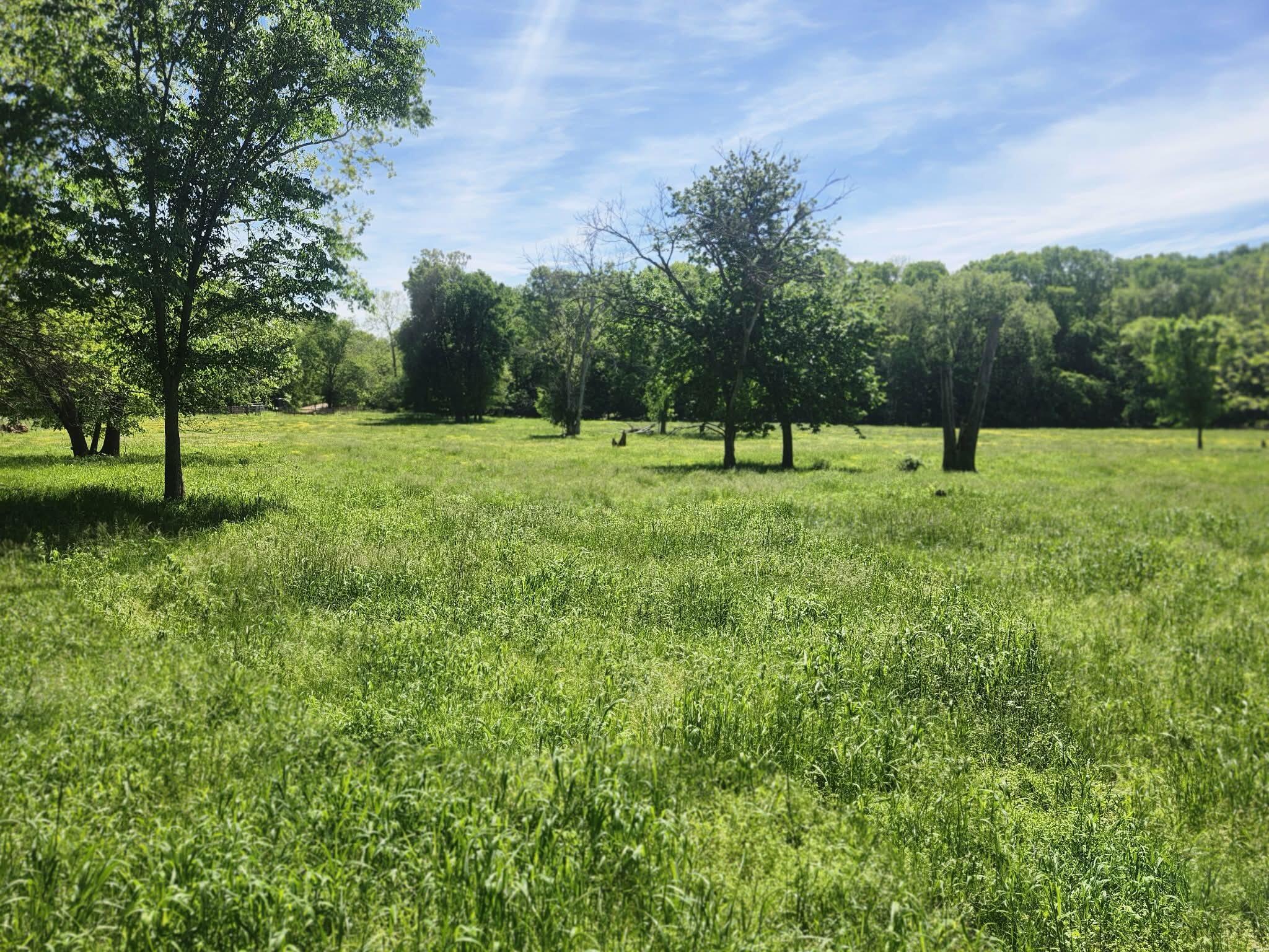 Photo 3 - Farm for sale – Tbd  High Drive  Hartville, MO