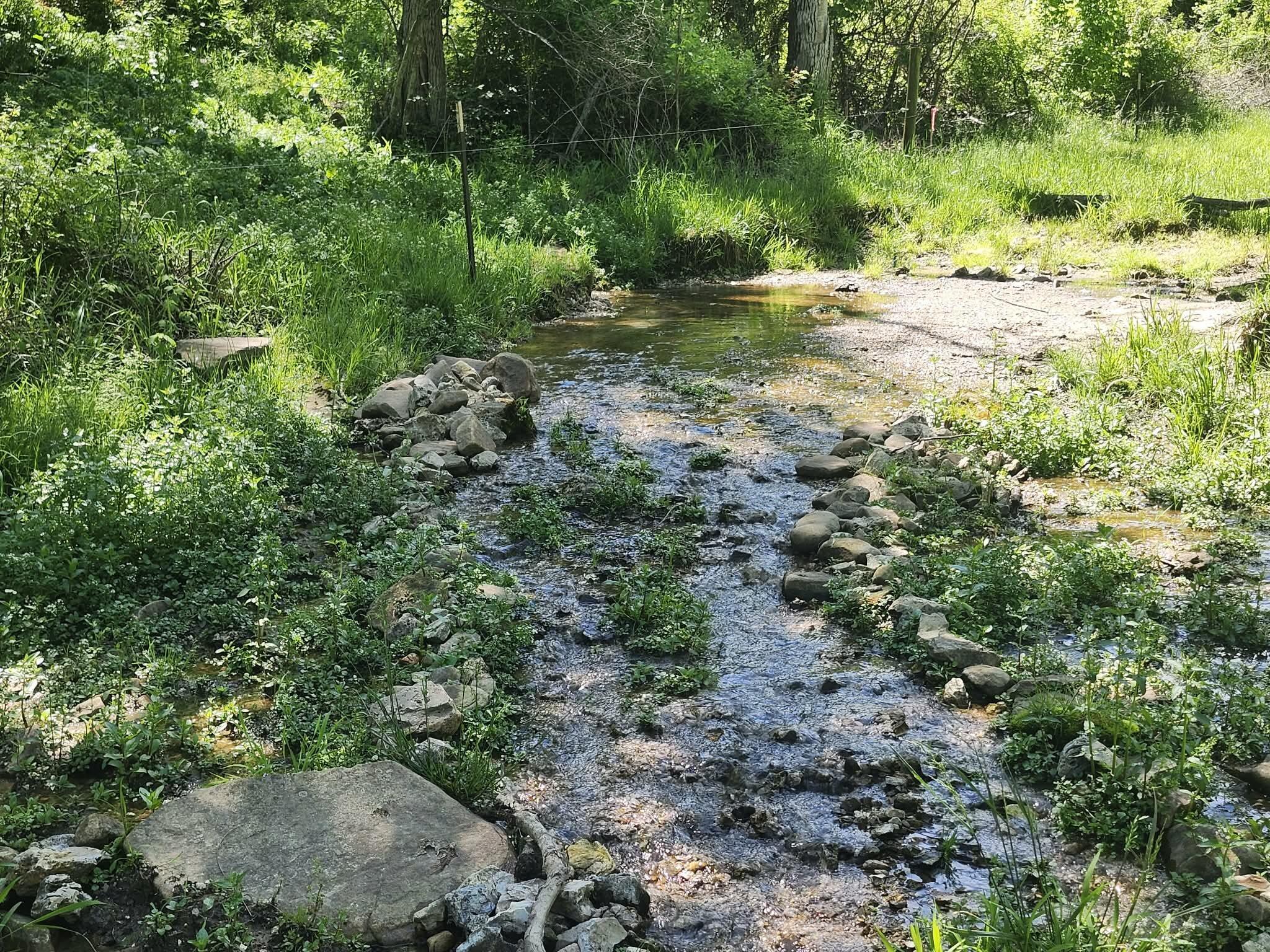 Photo 18 - Farm for sale – Tbd  High Drive  Hartville, MO