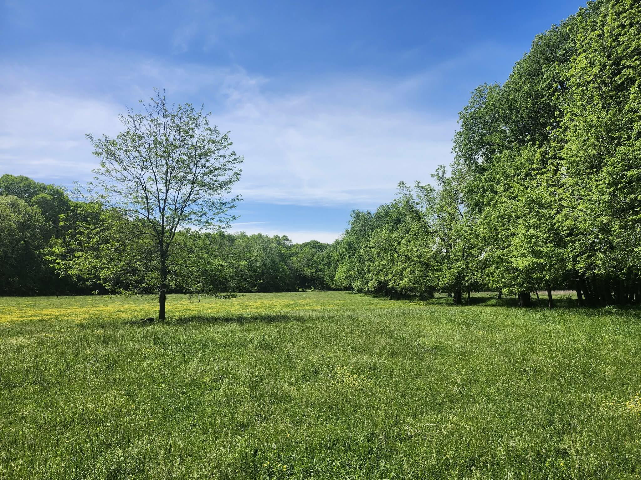 Photo 21 - Farm for sale – Tbd  High Drive  Hartville, MO