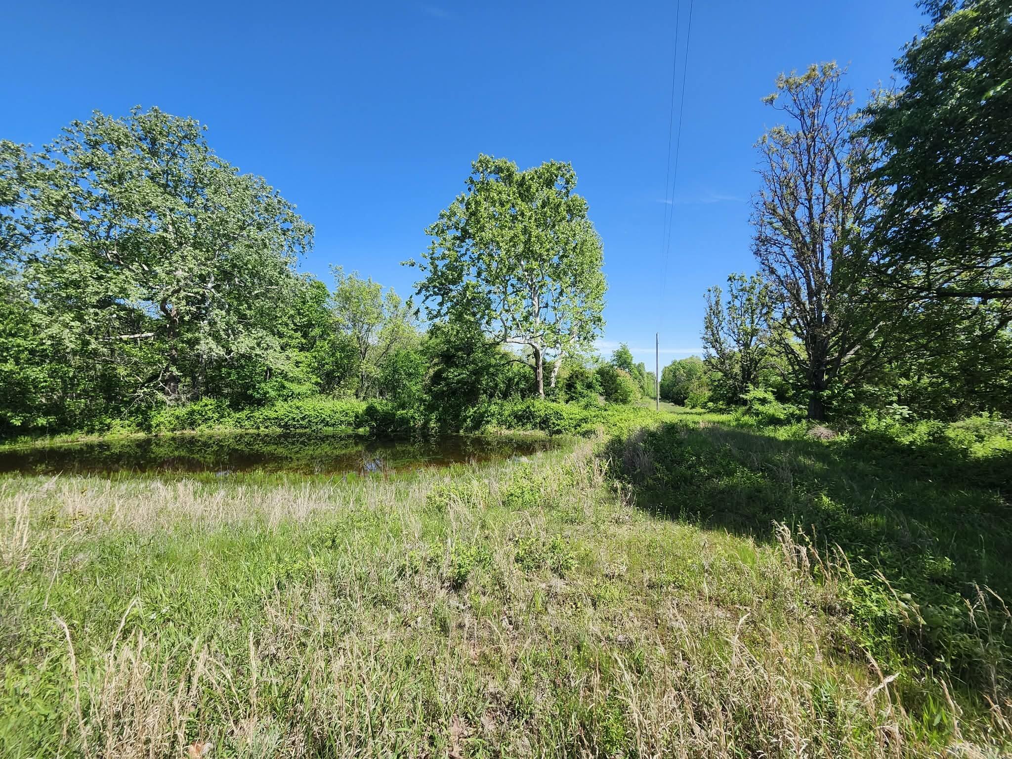Photo 23 - Farm for sale – Tbd  High Drive  Hartville, MO