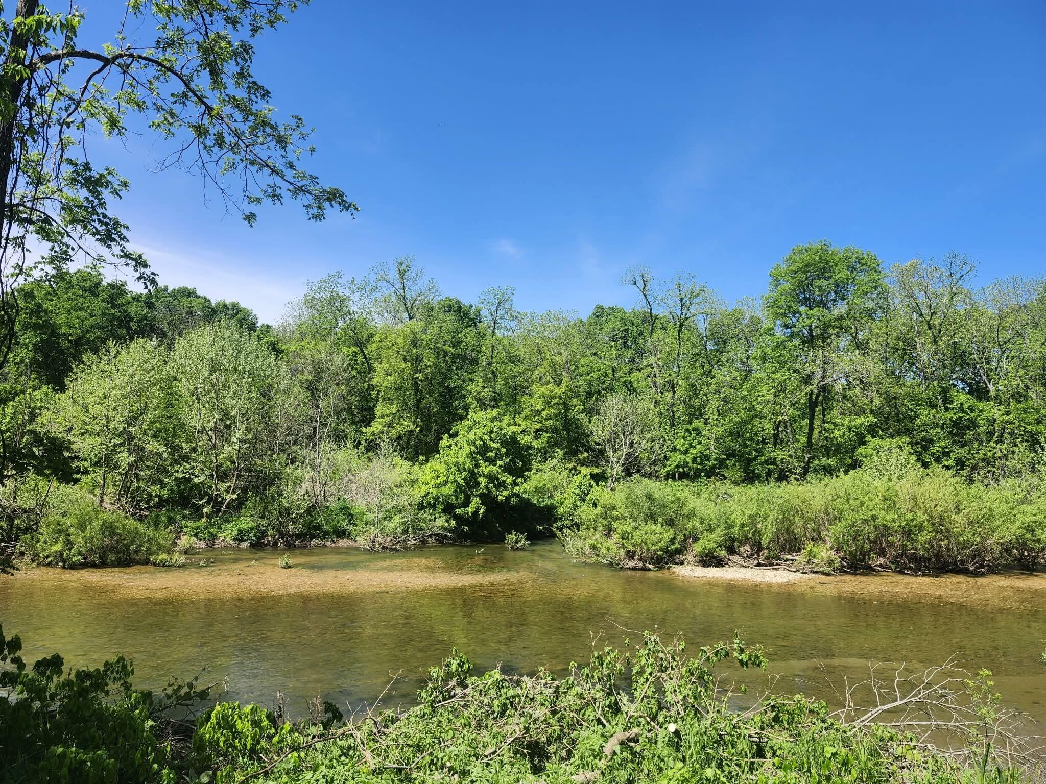 Photo 9 - Farm for sale – Tbd  High Drive  Hartville, MO