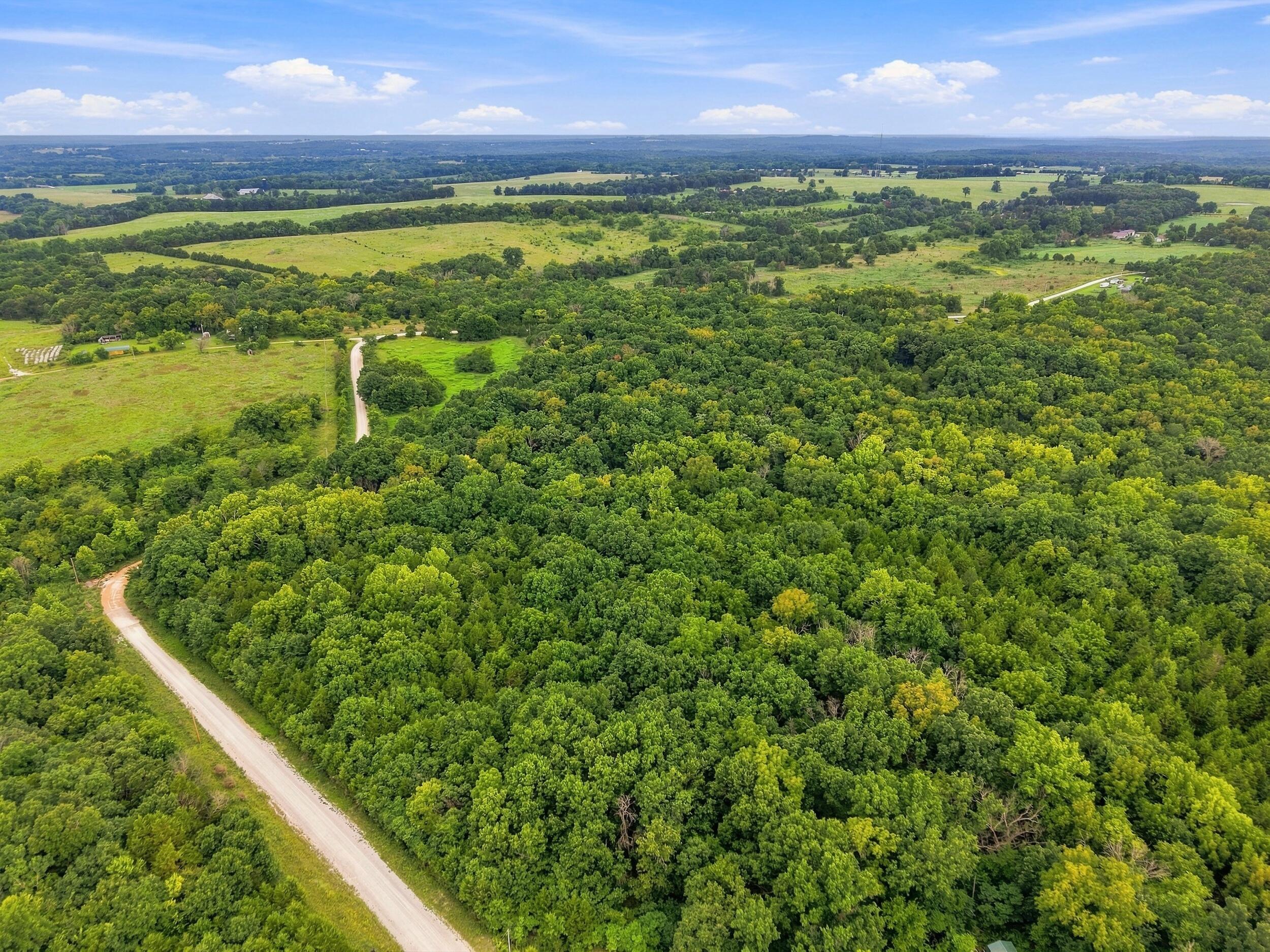 Photo 5 - Land for sale – 3478 S 216th Road  Goodson, MO