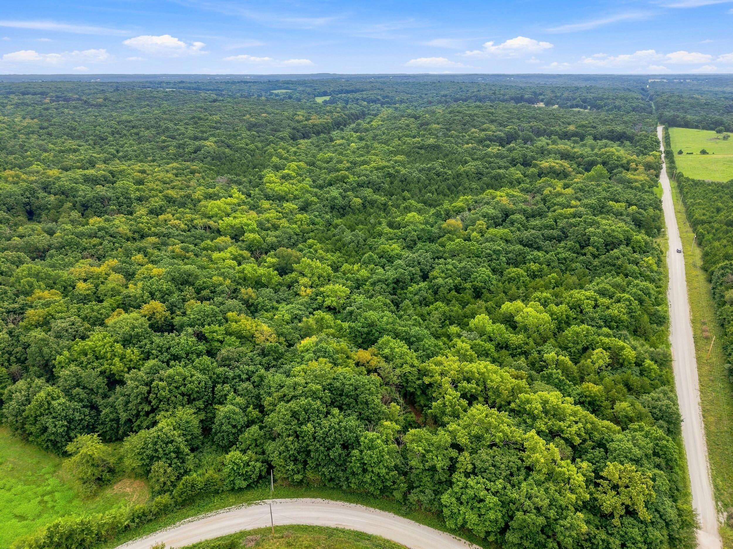 Photo 3 - Land for sale – 3478 S 216th Road  Goodson, MO