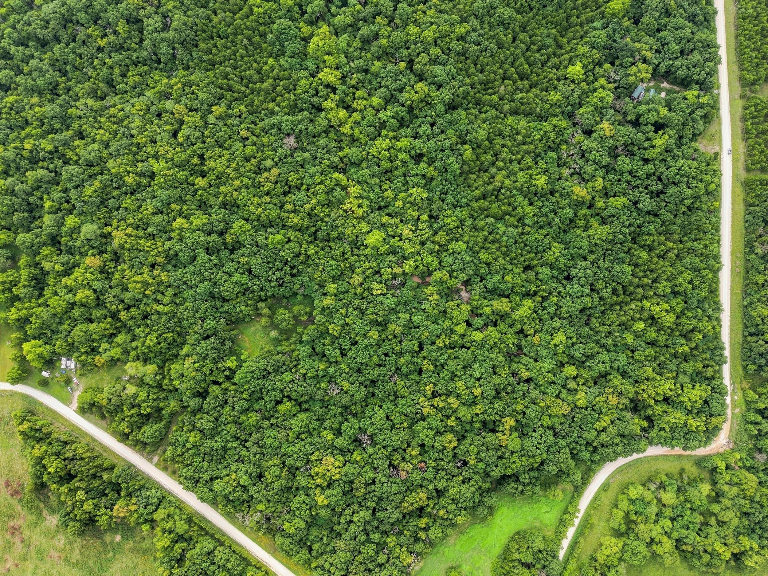 Photo 6 - Land for sale – 3478 S 216th Road  Goodson, MO