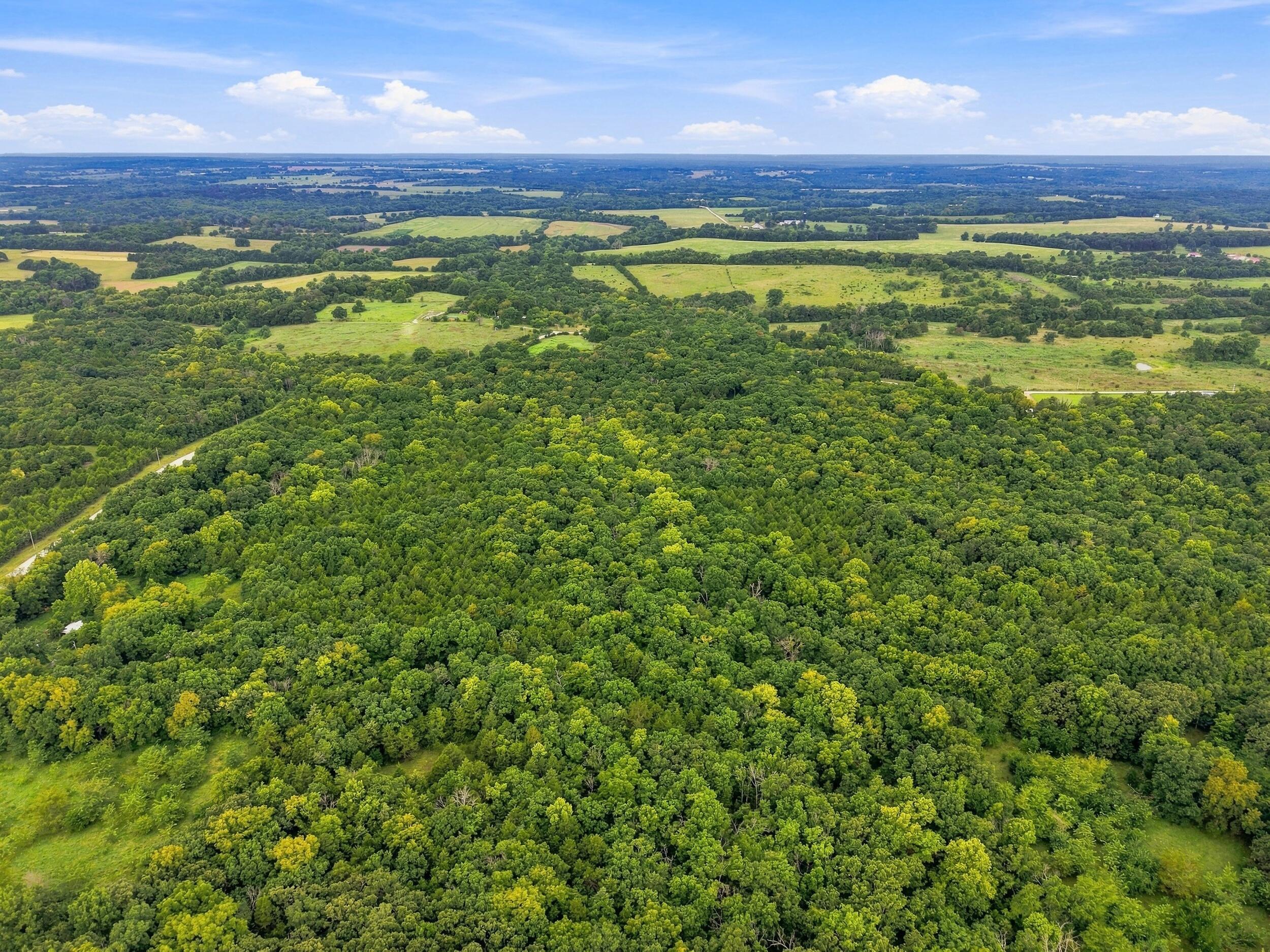 Photo 4 - Land for sale – 3478 S 216th Road  Goodson, MO