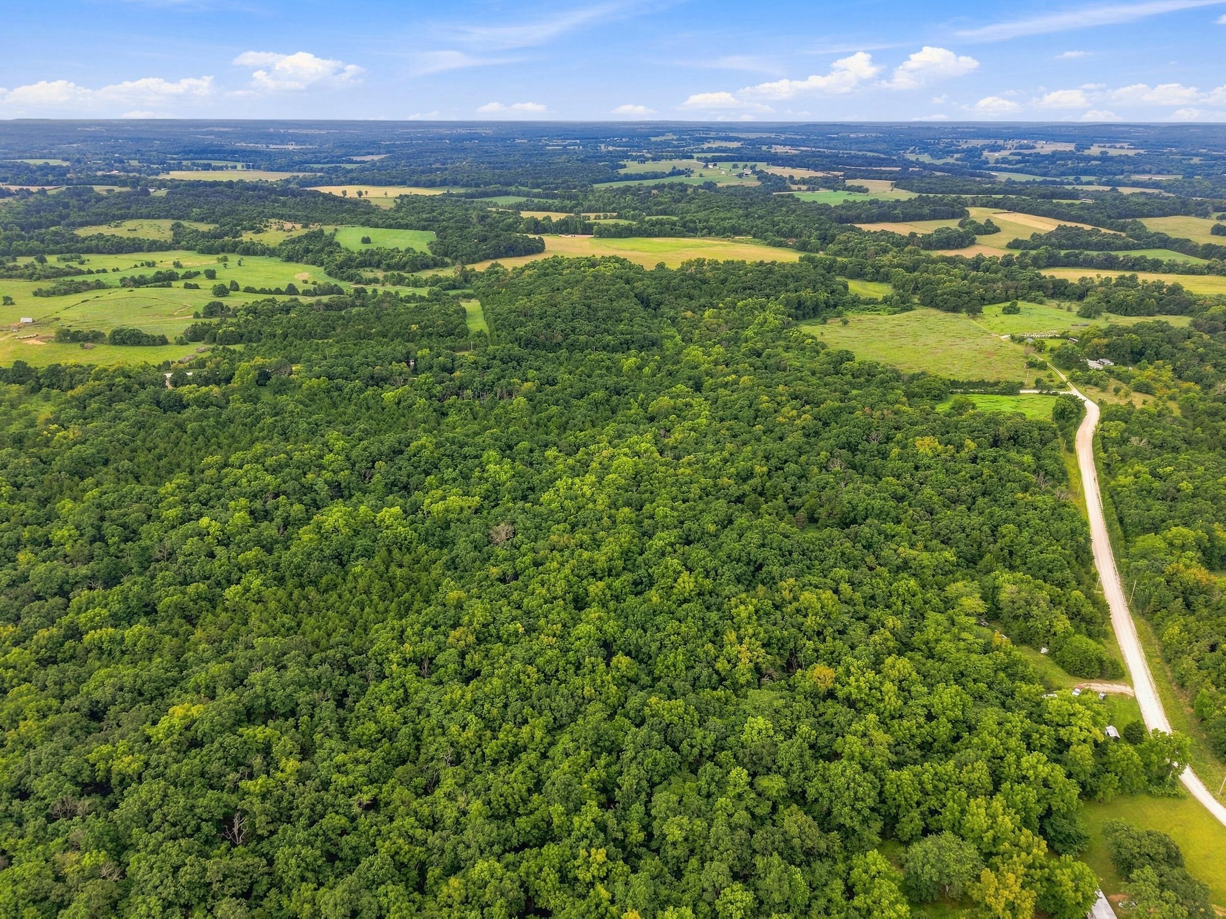 Photo 8 - Land for sale – 3478 S 216th Road  Goodson, MO