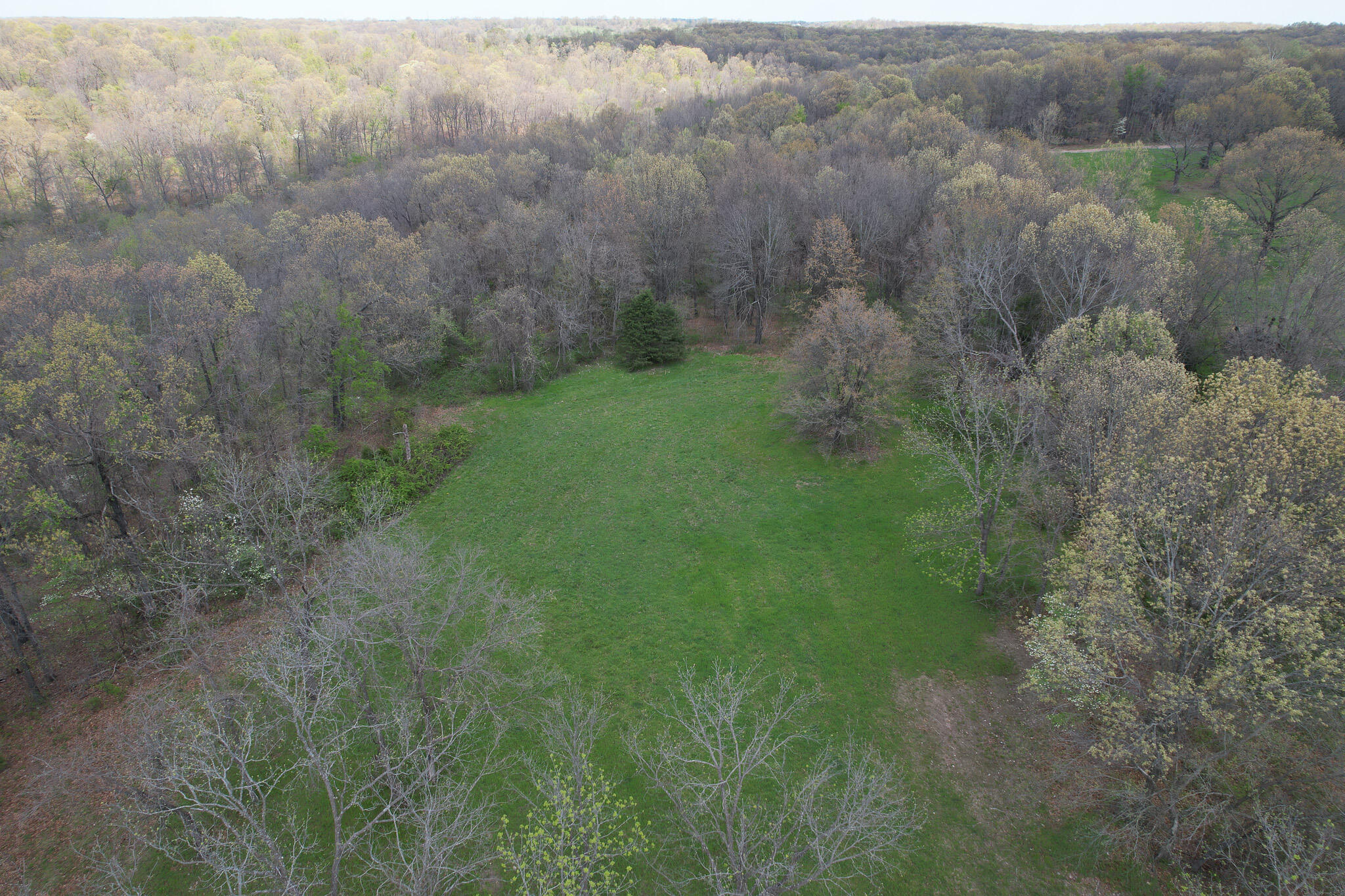 Photo 22 - Land for sale – 000  Farm Road 2170   Exeter, MO