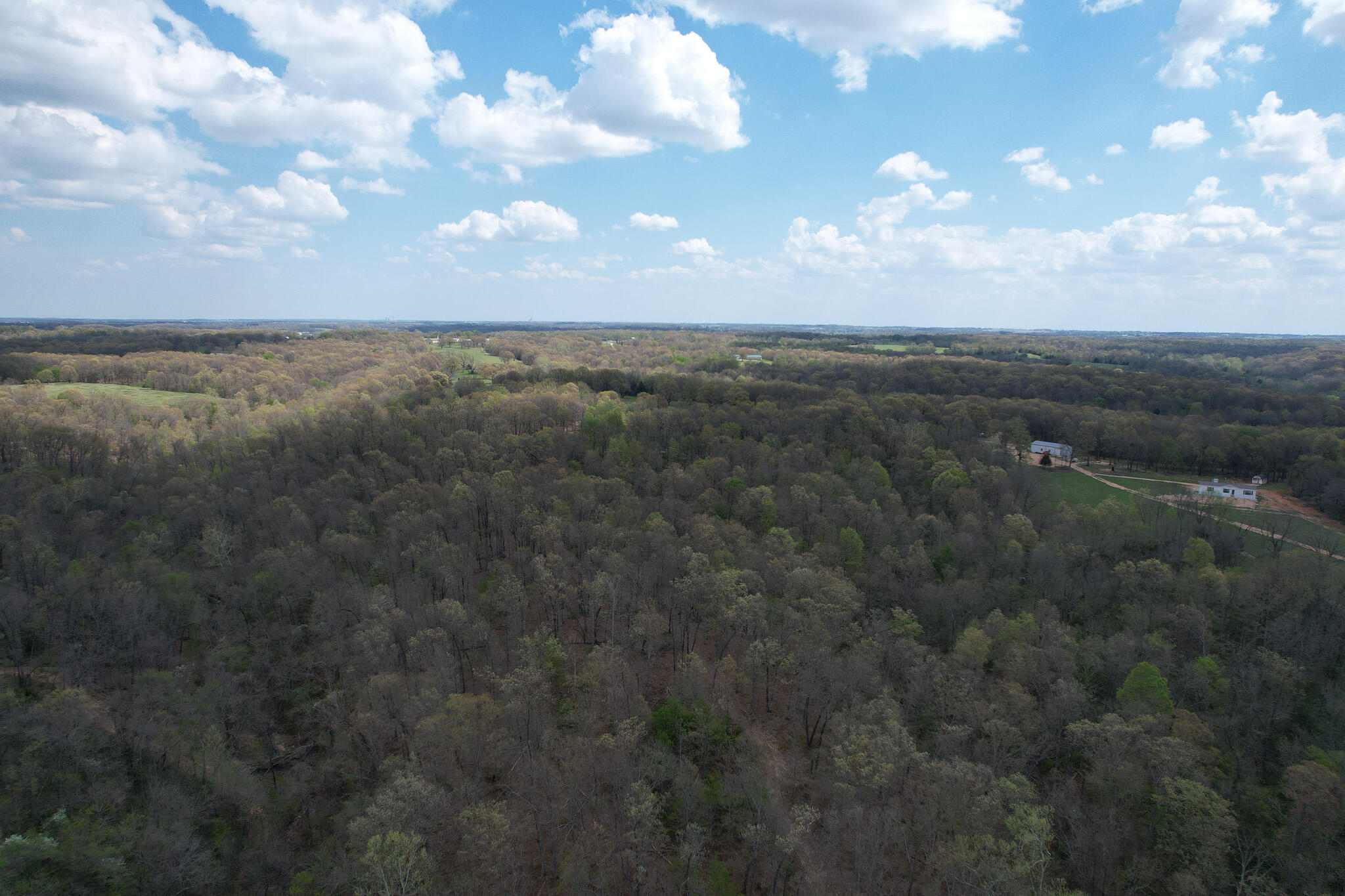 Photo 35 - Land for sale – 000  Farm Road 2170   Exeter, MO