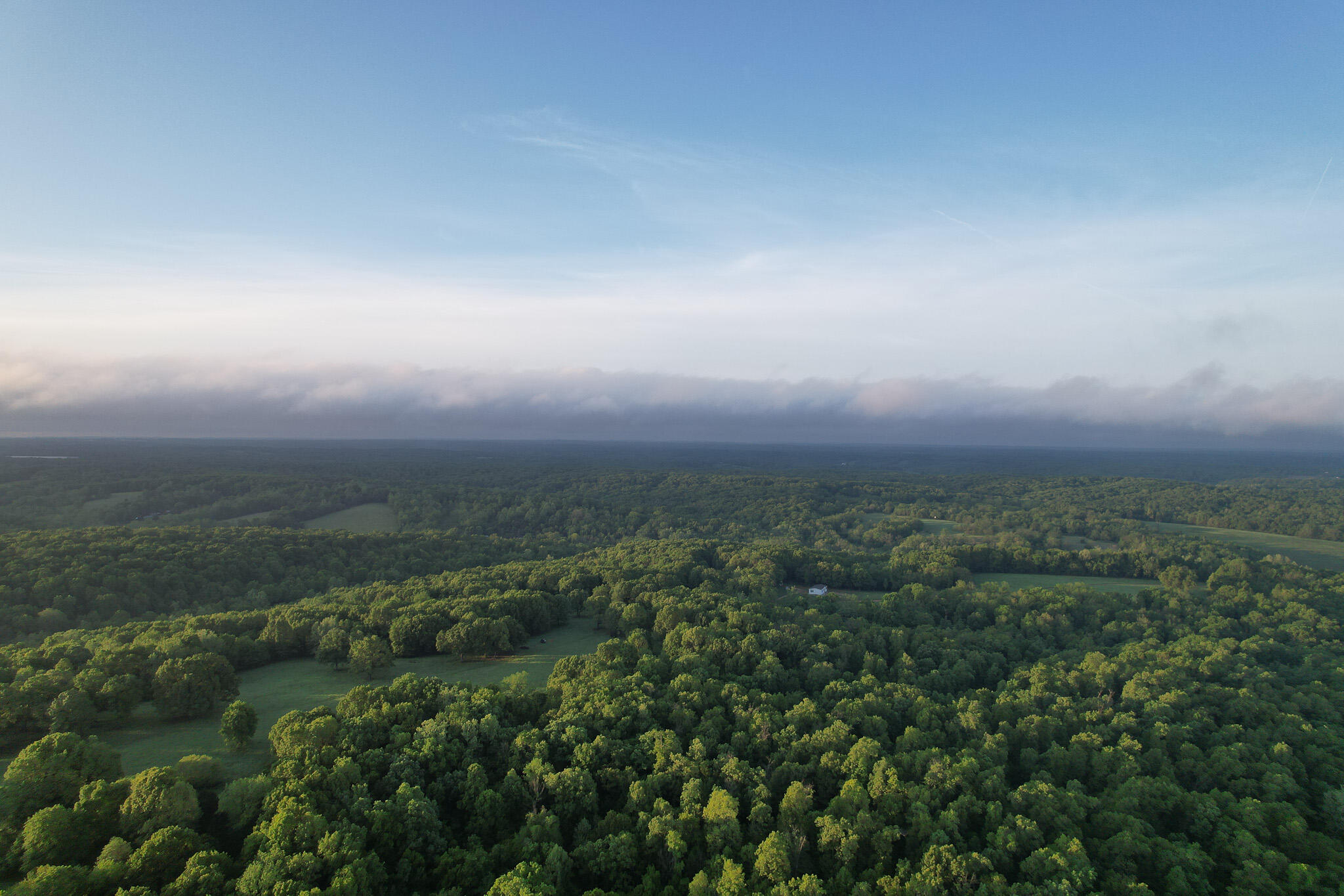 Photo 57 - Land for sale – 000  Farm Road 2170   Exeter, MO