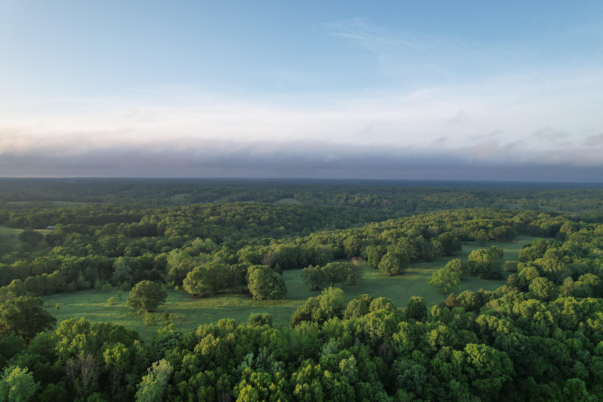 Photo 56 - Land for sale – 000  Farm Road 2170   Exeter, MO
