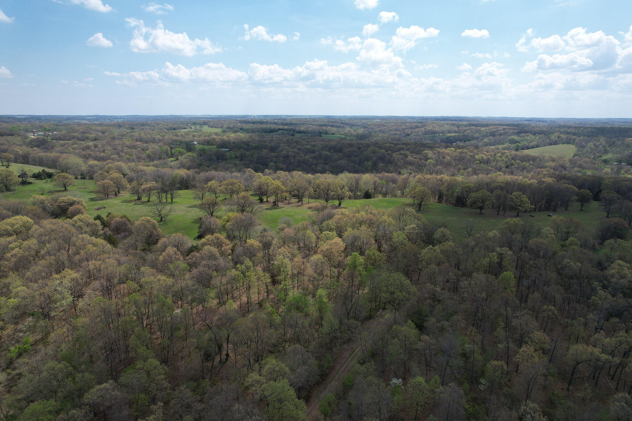 Photo 14 - Land for sale – 000  Farm Road 2170   Exeter, MO